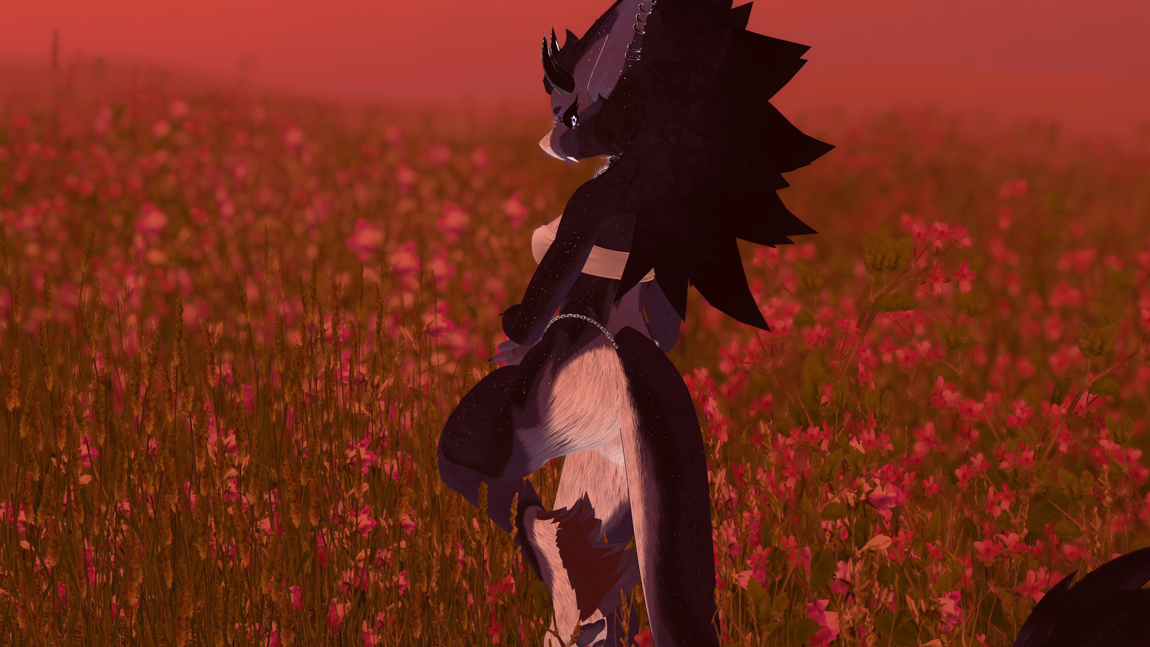 Nocturne - FoxyBeast V3