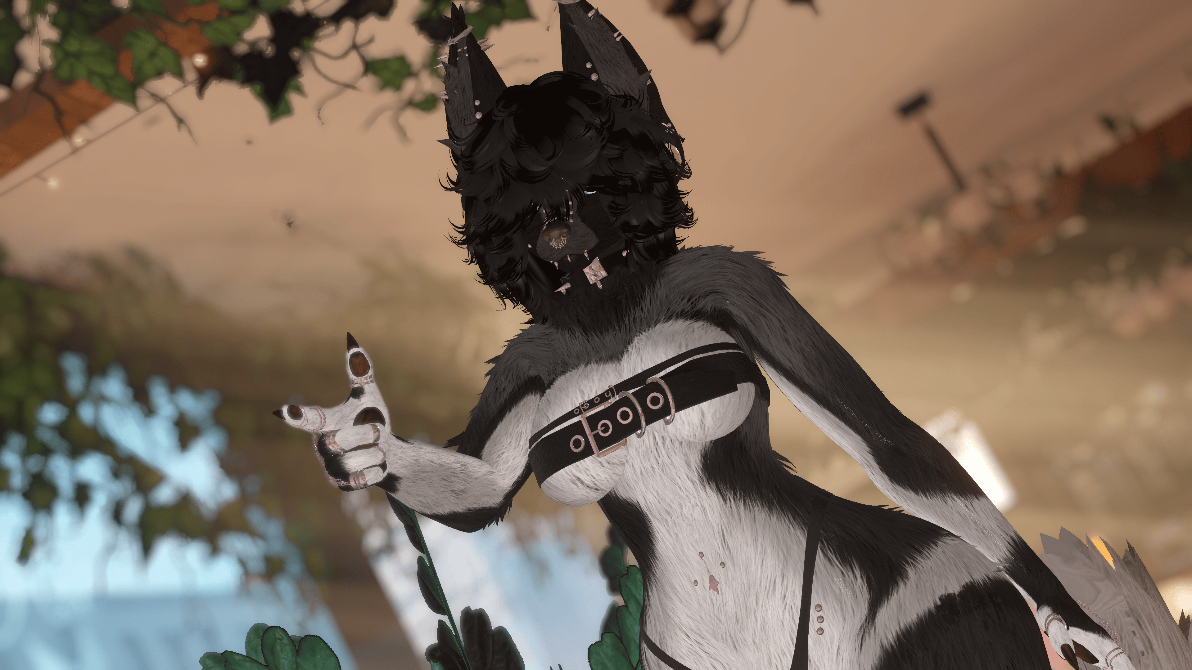 Adrina - Bella Goth Pup