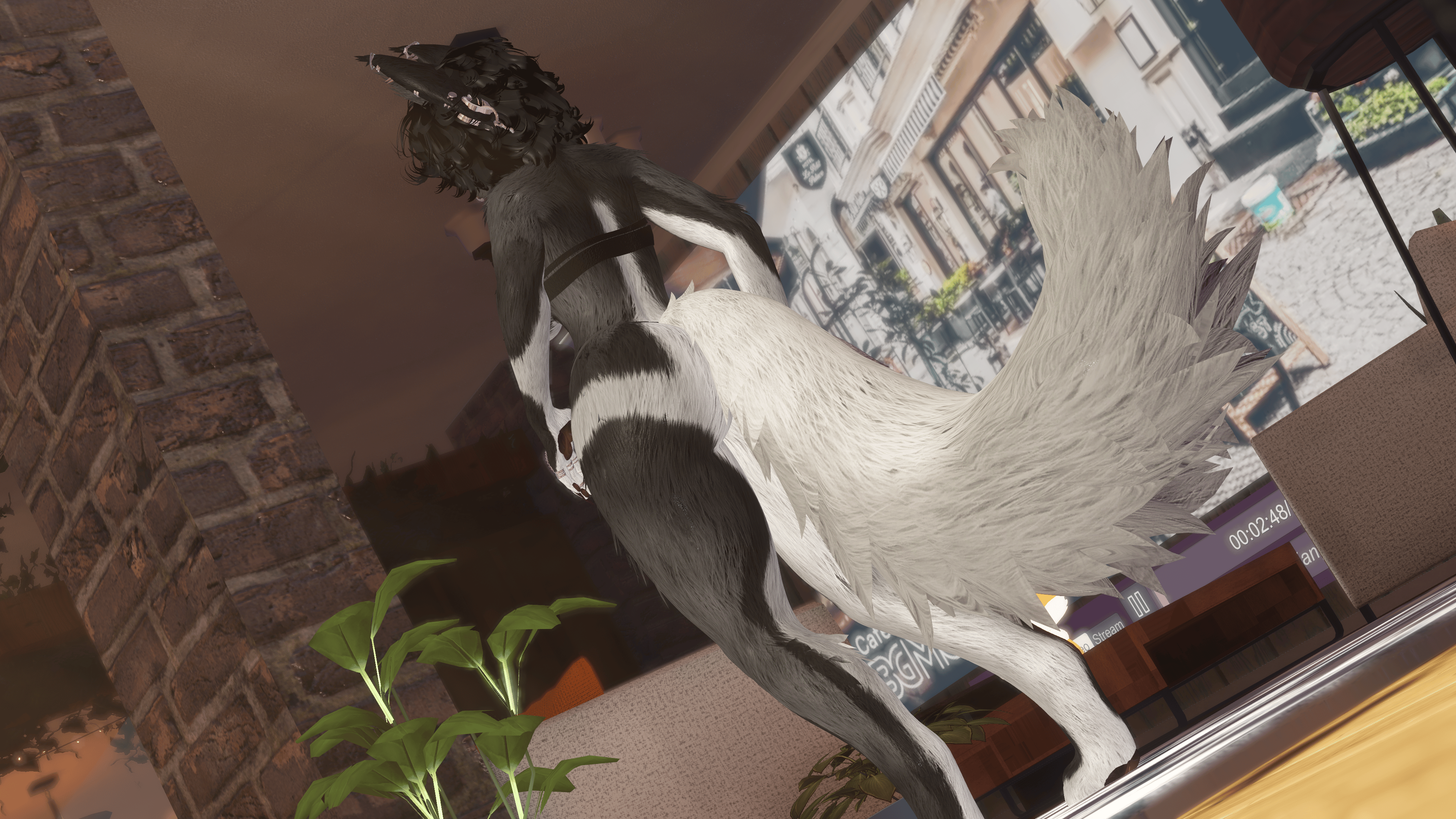 Adrina - Bella Goth Pup