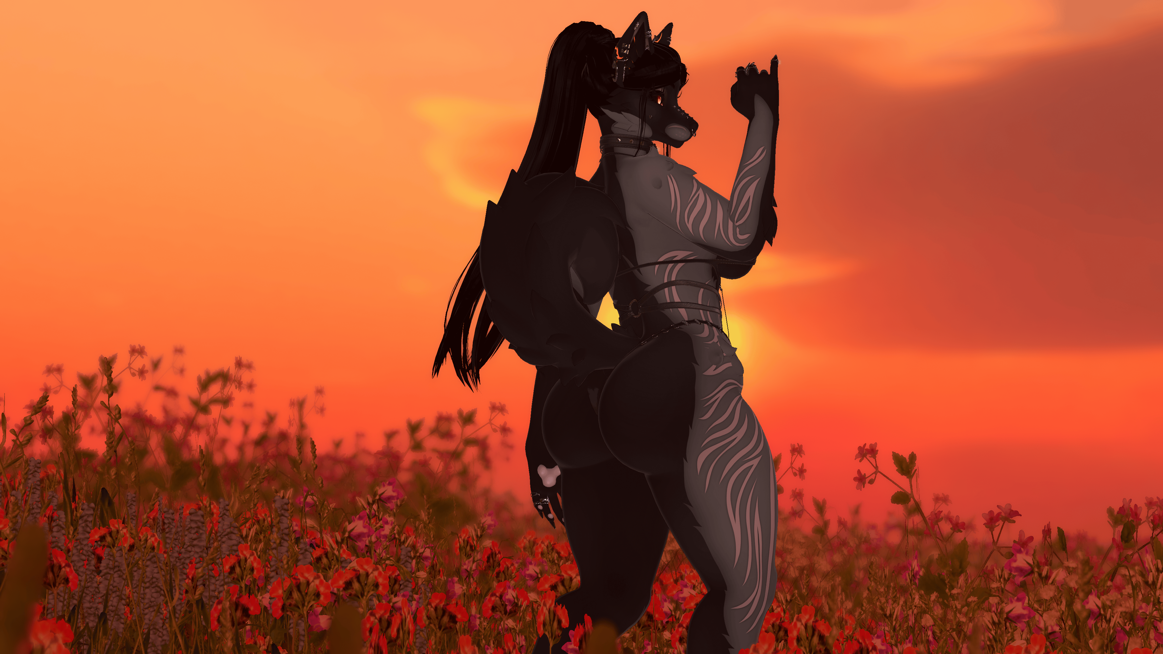 Ebony - Foxipaws Roxy