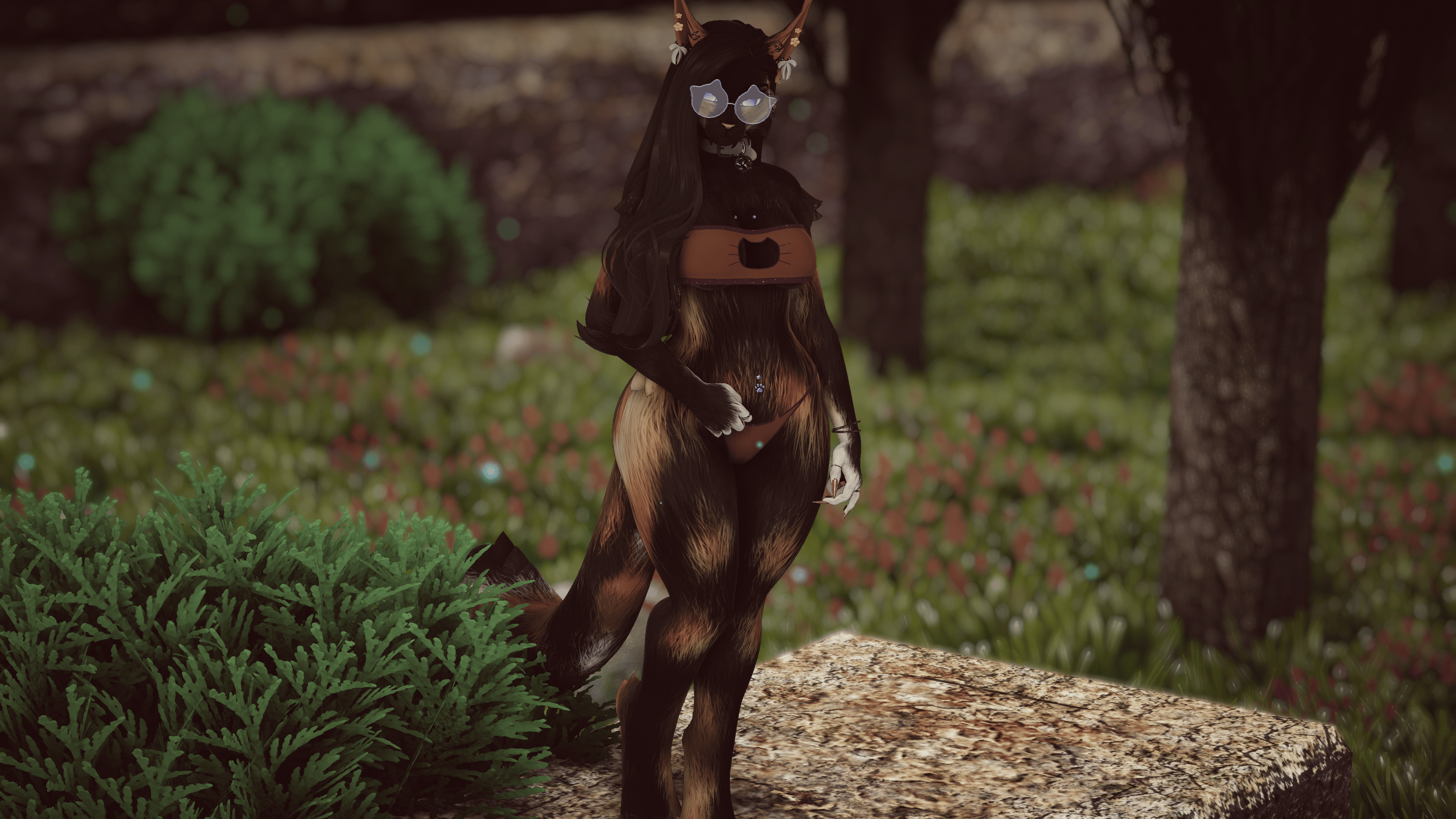 Emelia - Nyx Foxipaws