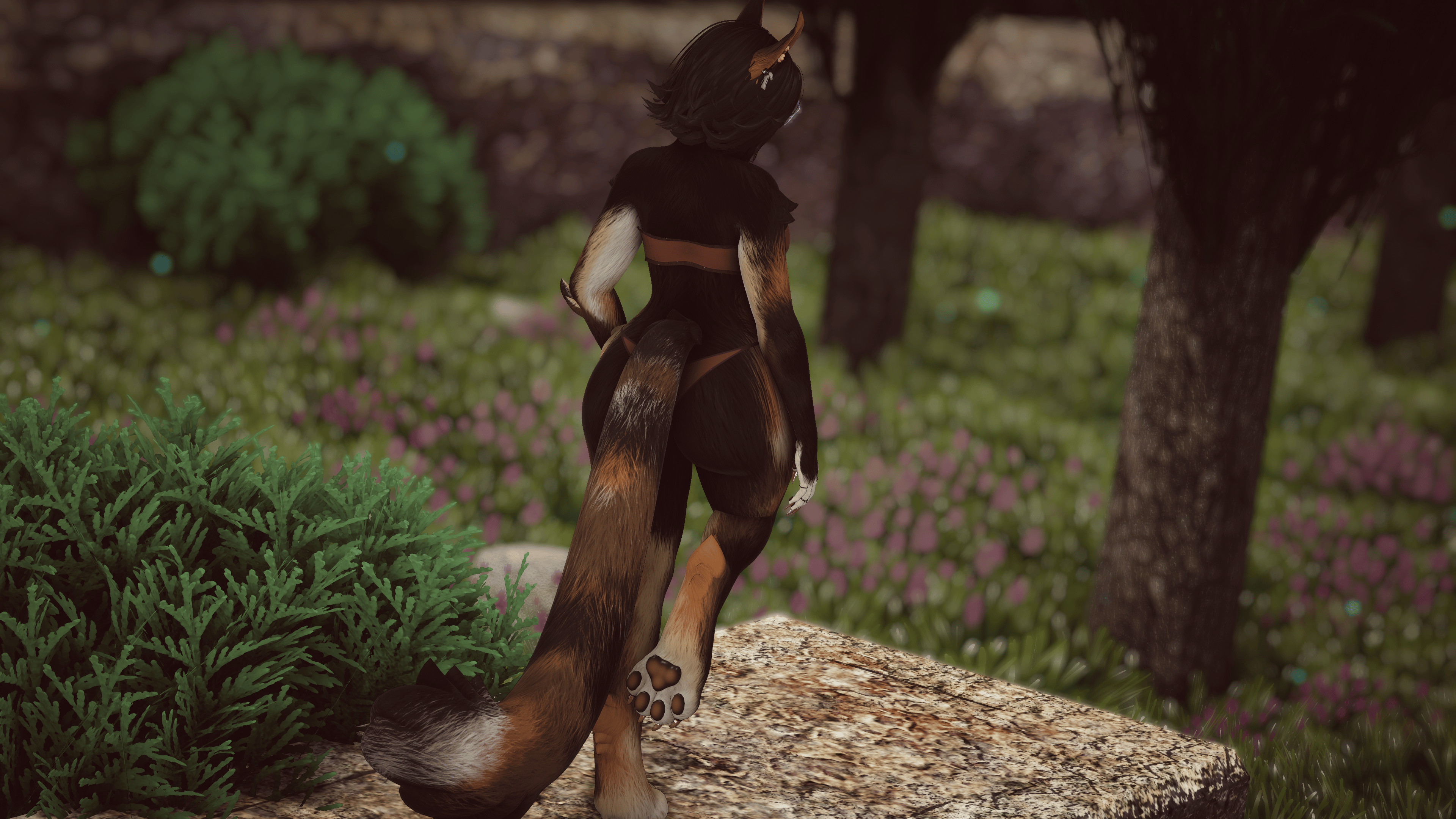 Emelia - Nyx Foxipaws
