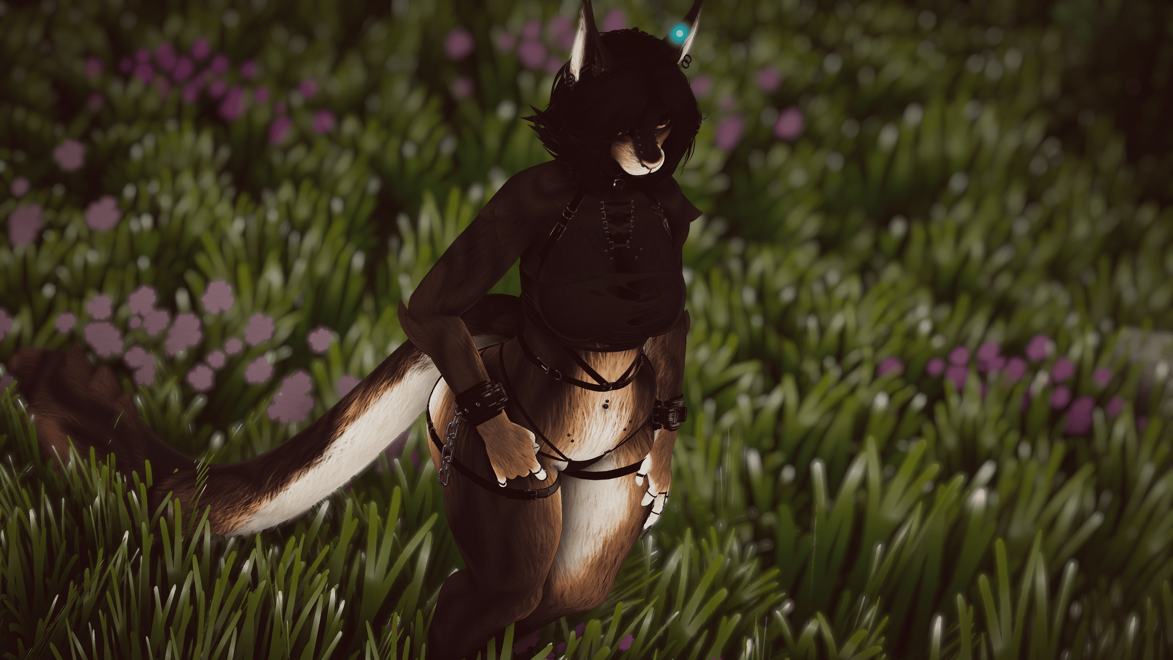 Julien - Nyx Foxipaws