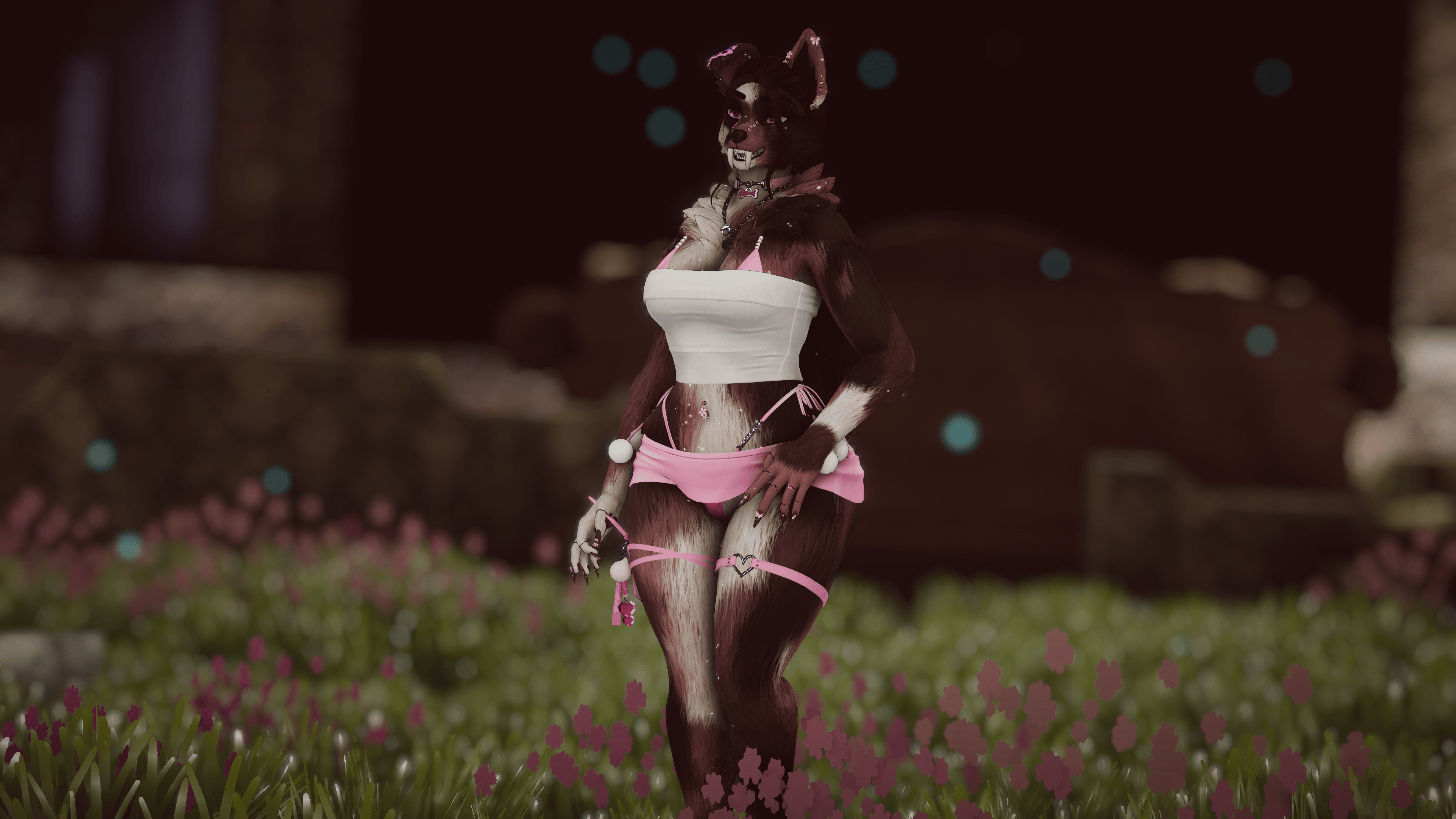 Amelia - Foxipaws Roxy