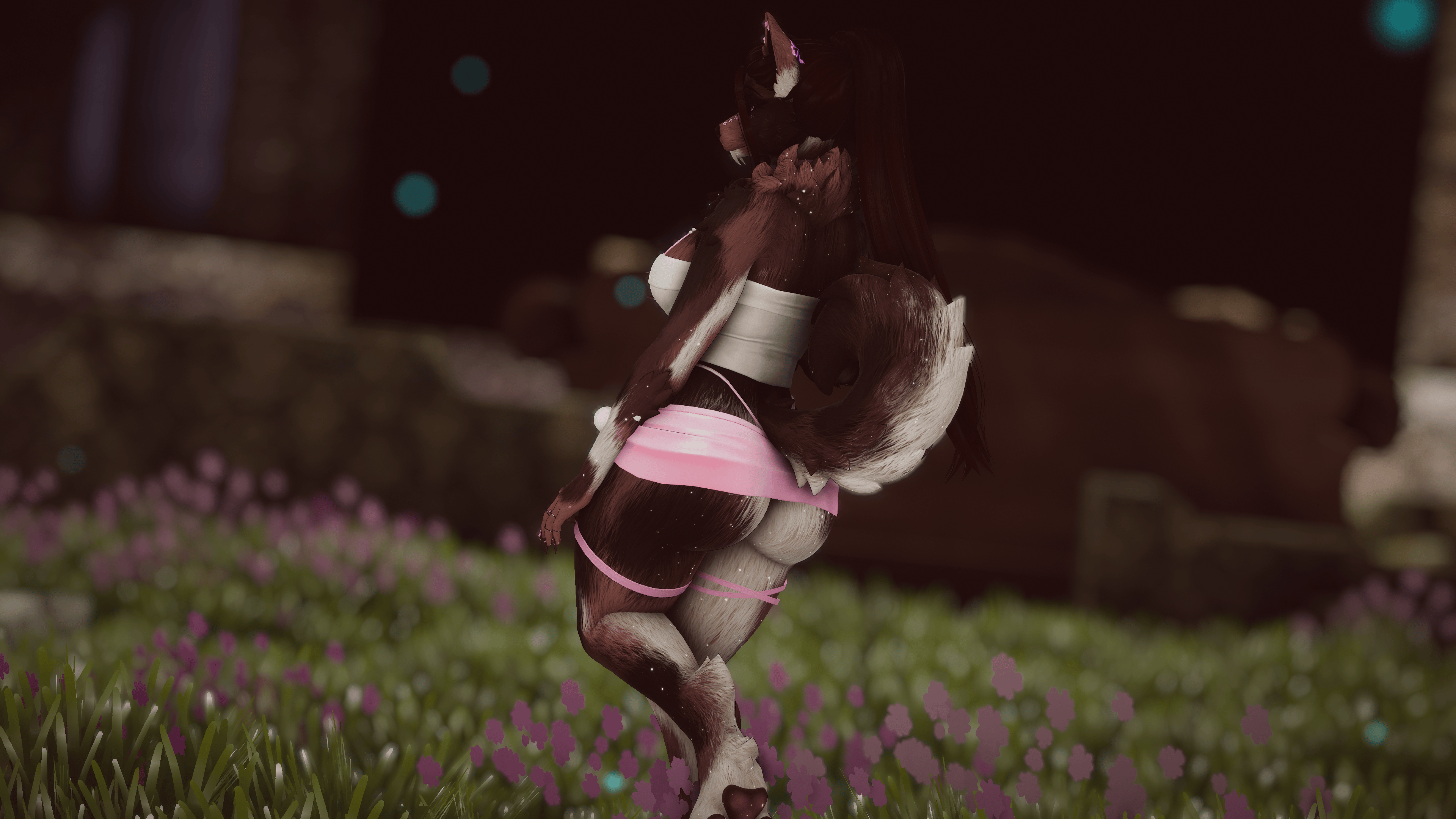 Amelia - Foxipaws Roxy
