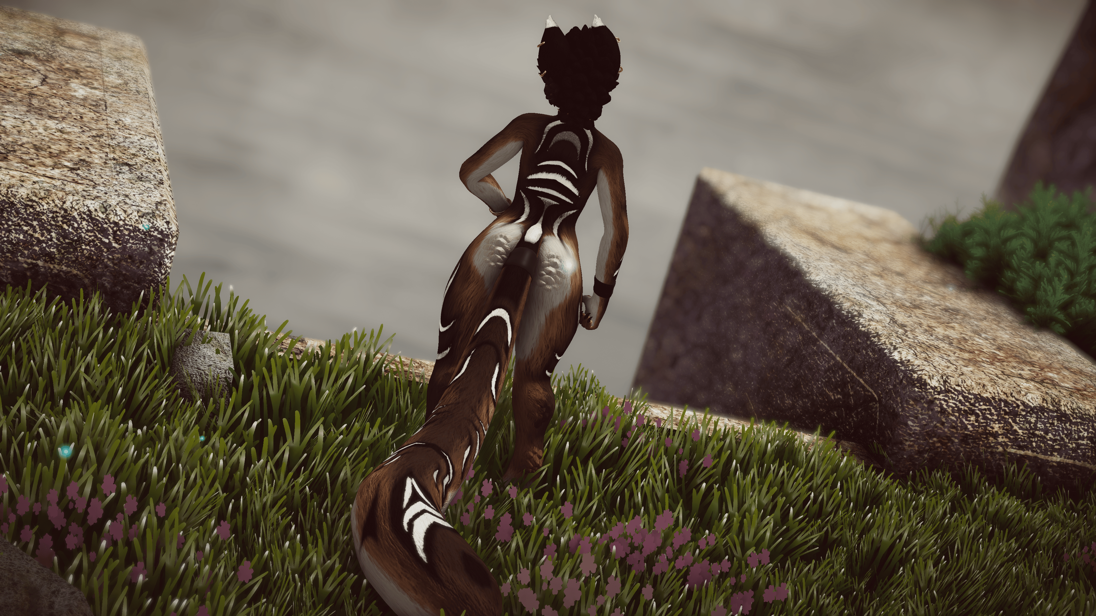 Dara - Akiva/ Ziva Textures