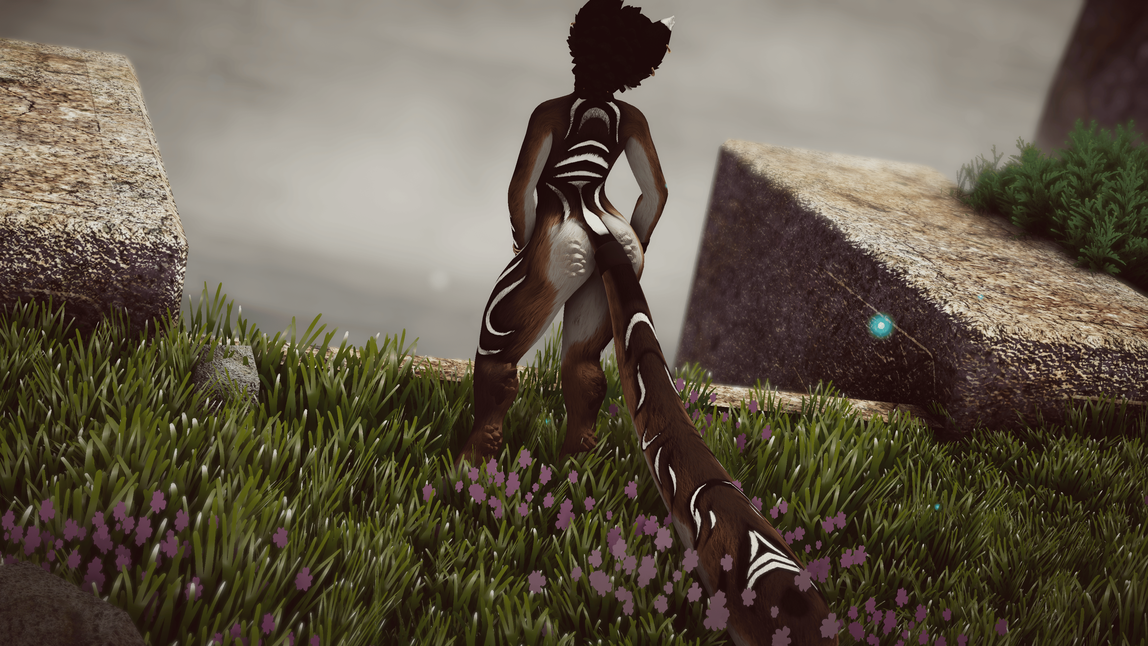 Dara - Akiva/ Ziva Textures