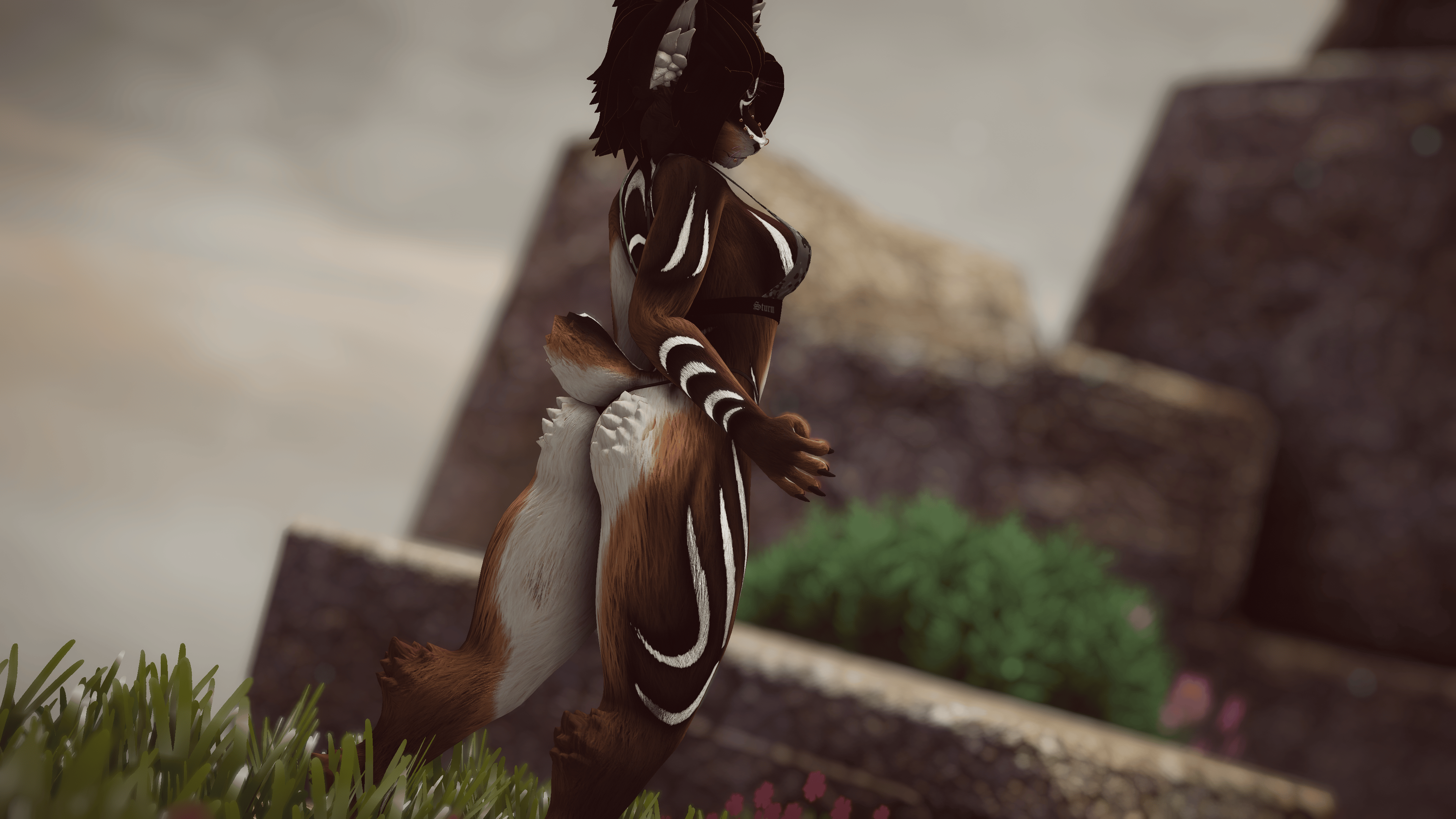 Dara - Akiva/ Ziva Textures