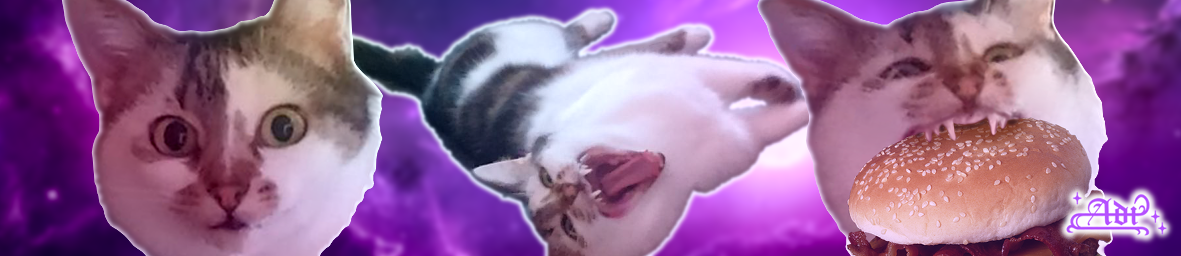 Banner Background