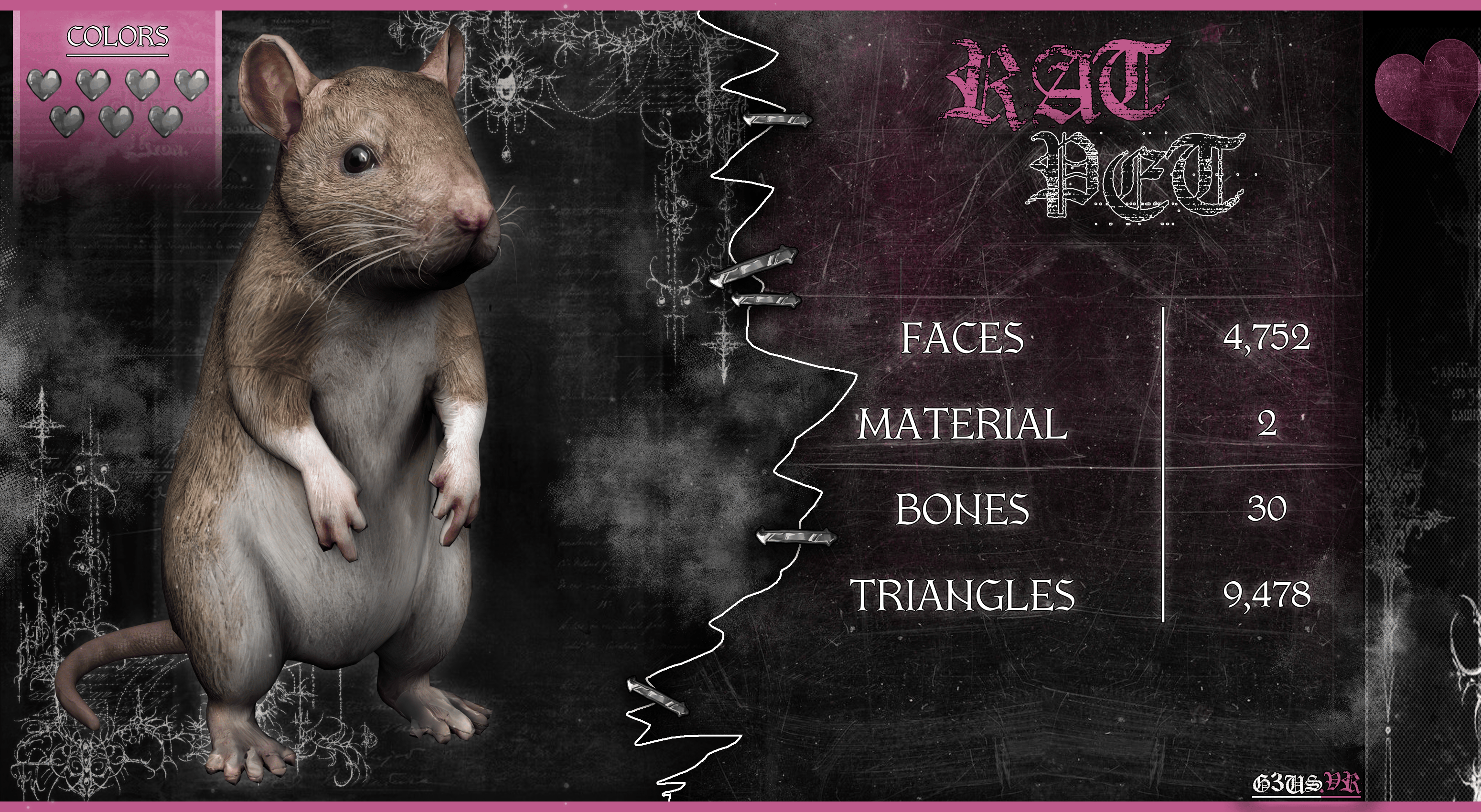 Rat Pet