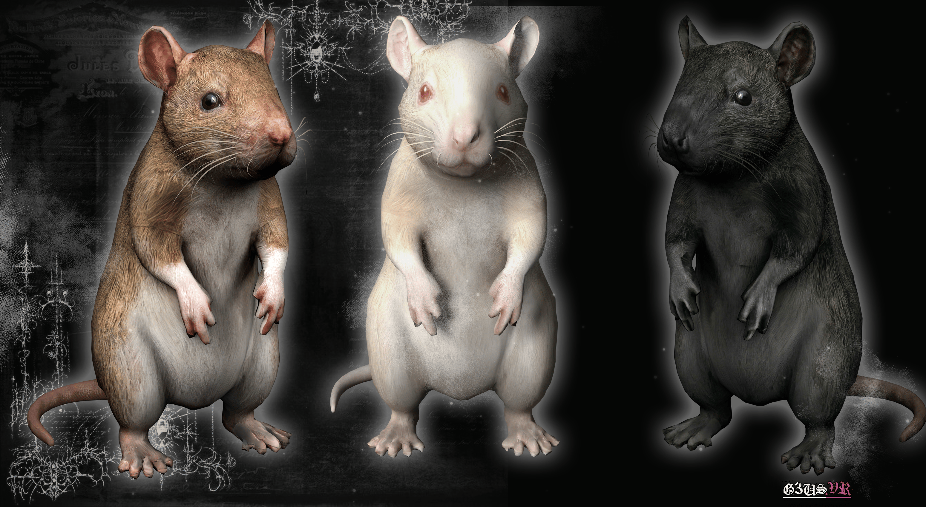 Rat Pet