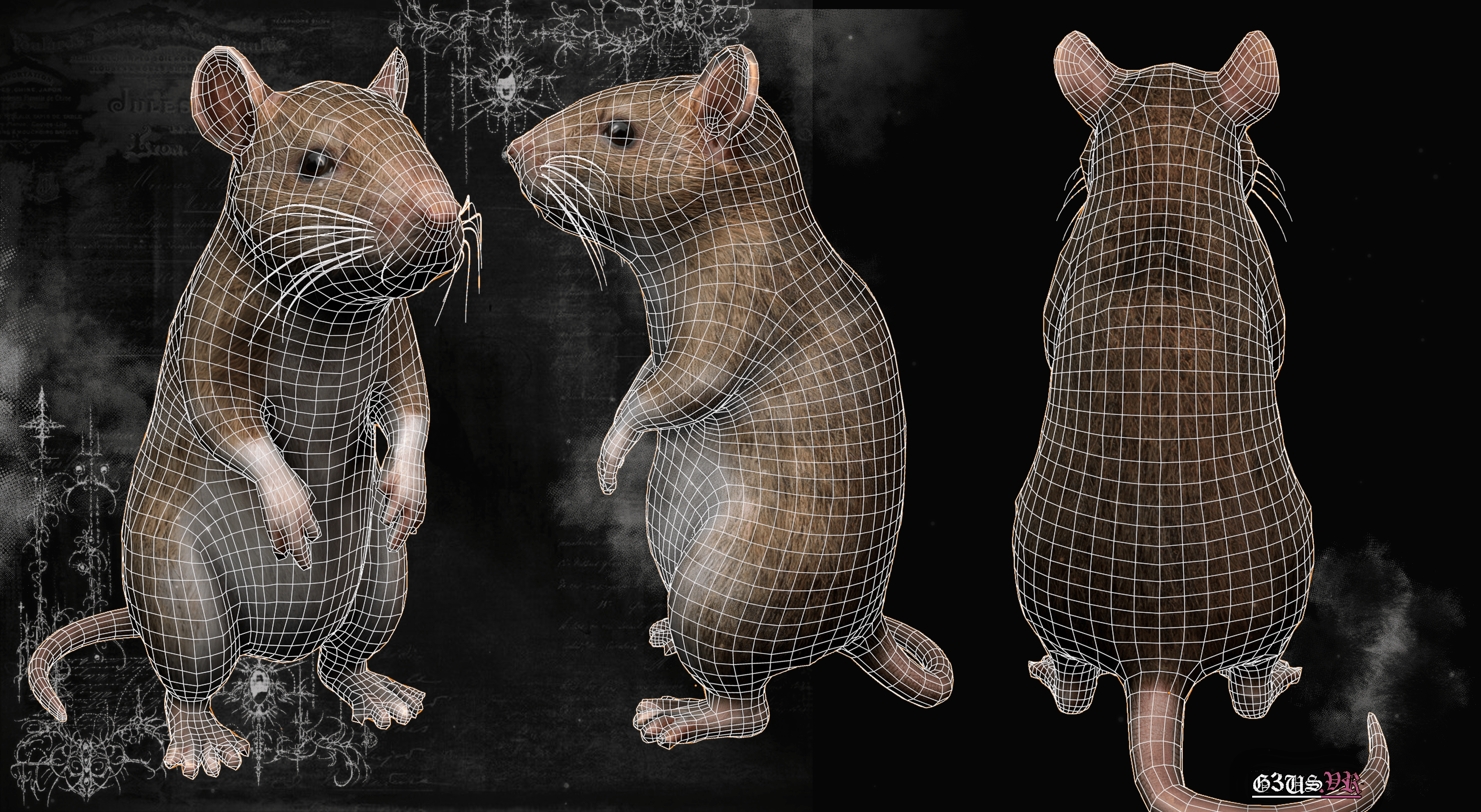 Rat Pet