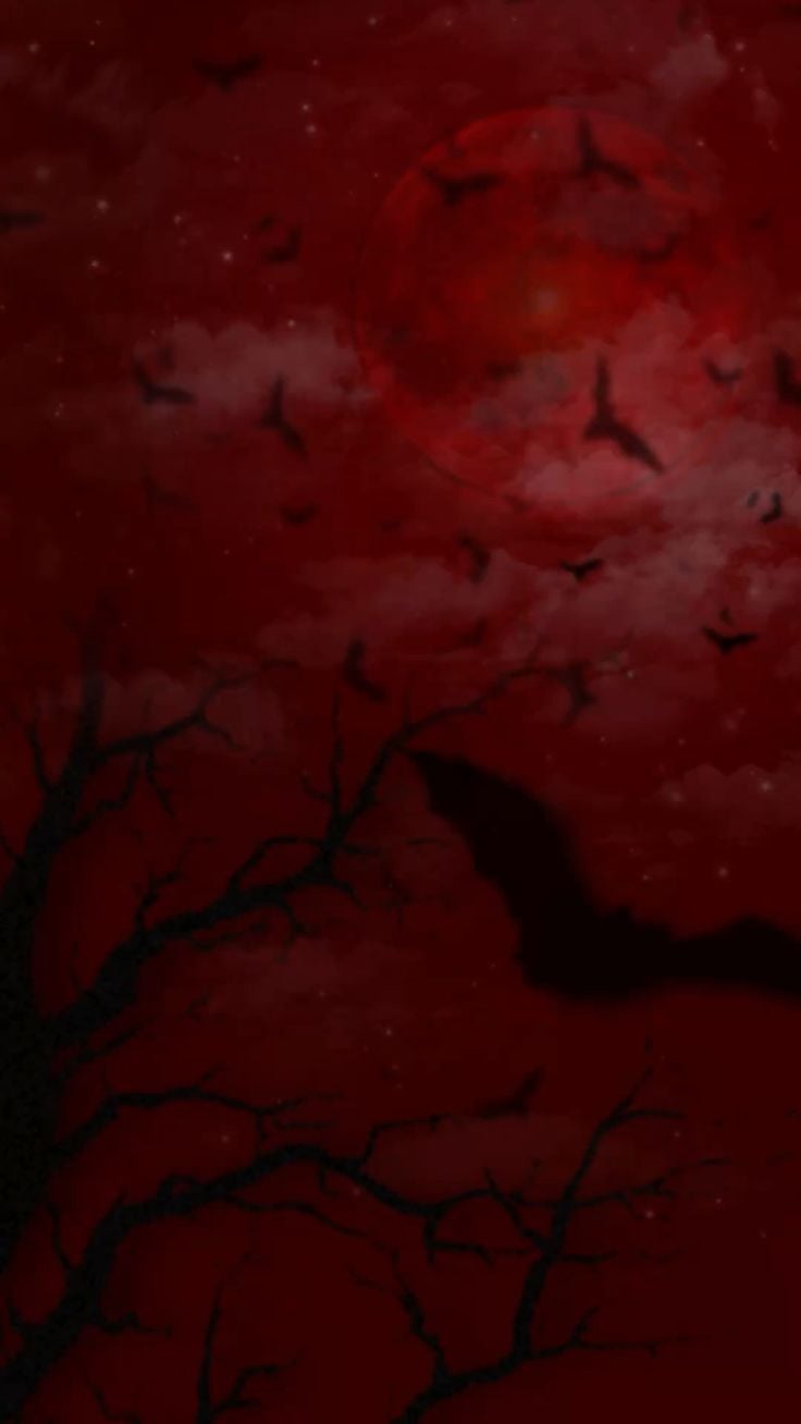 Banner Background