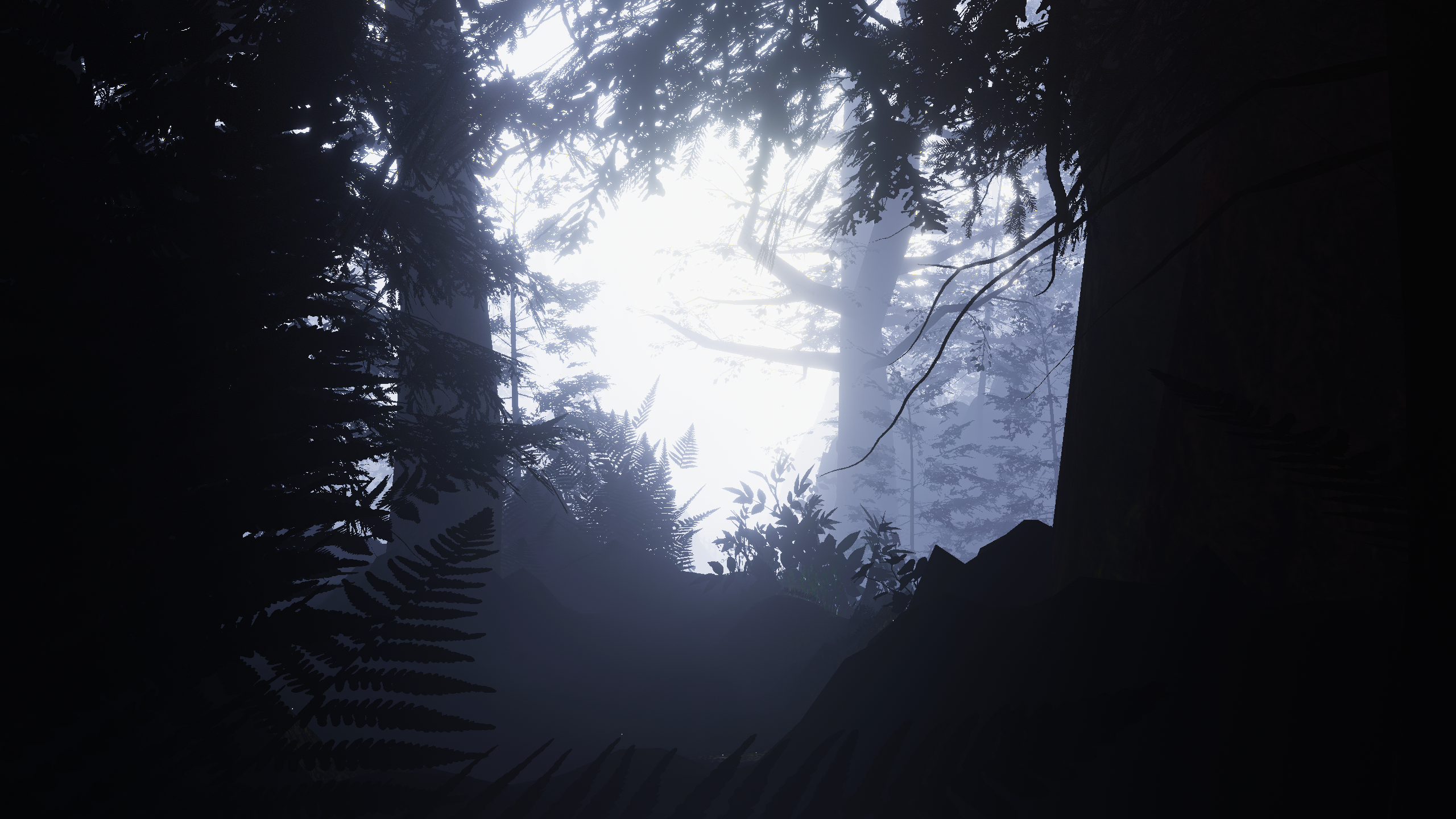 Banner Background