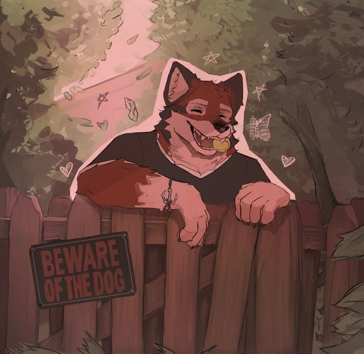 Fondo del banner