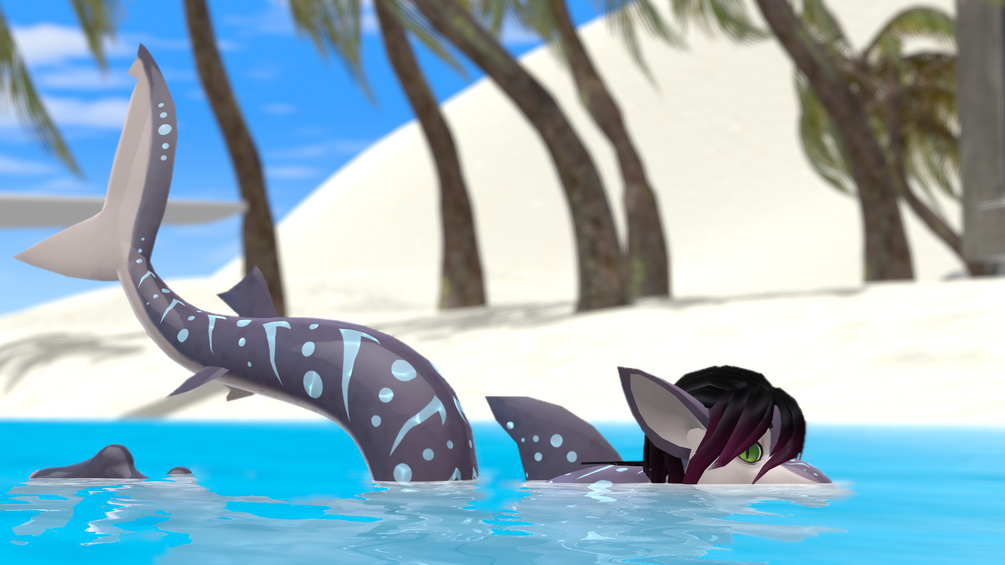 Toastador Sharko