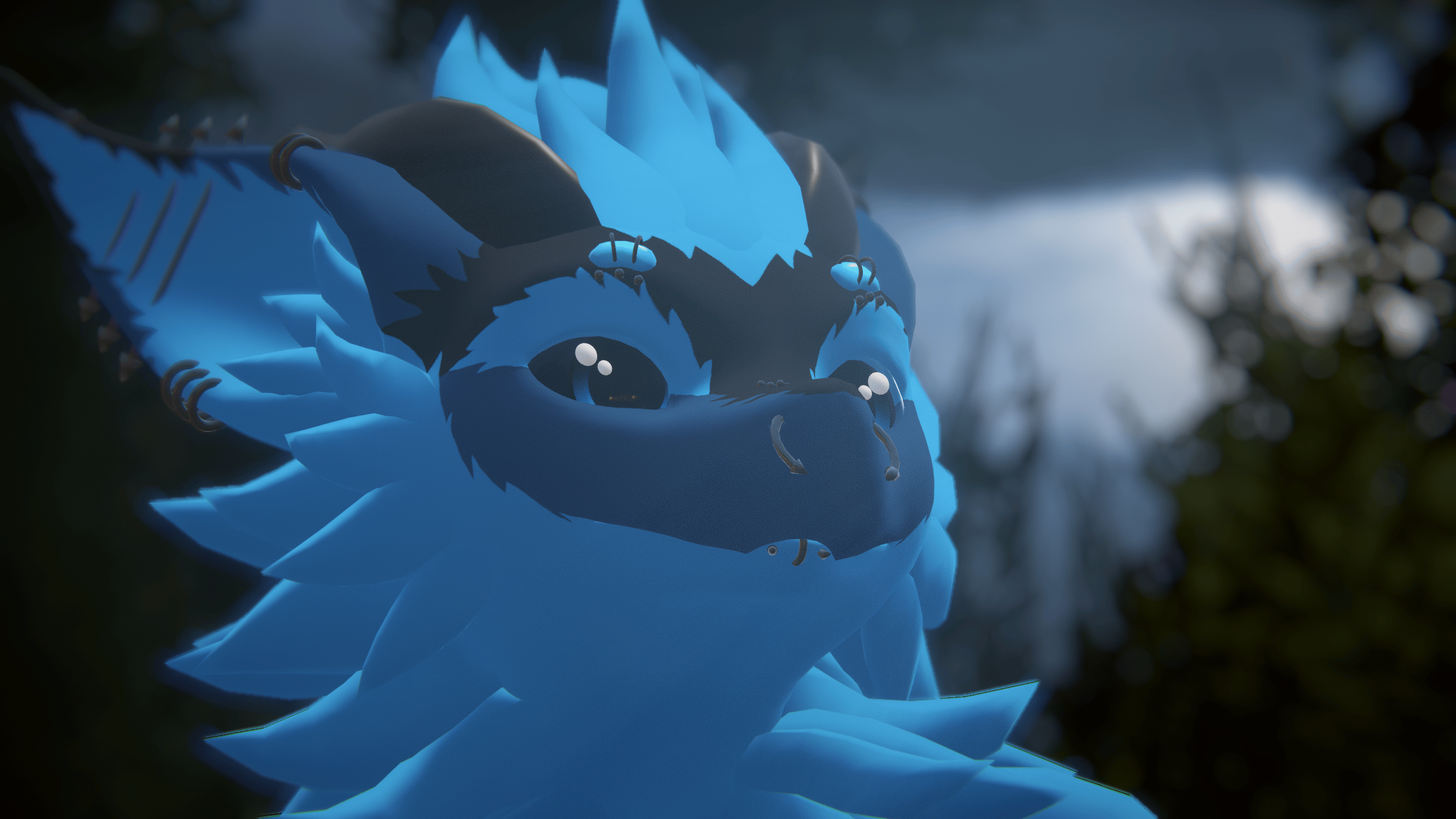 Nardoragon Piercings