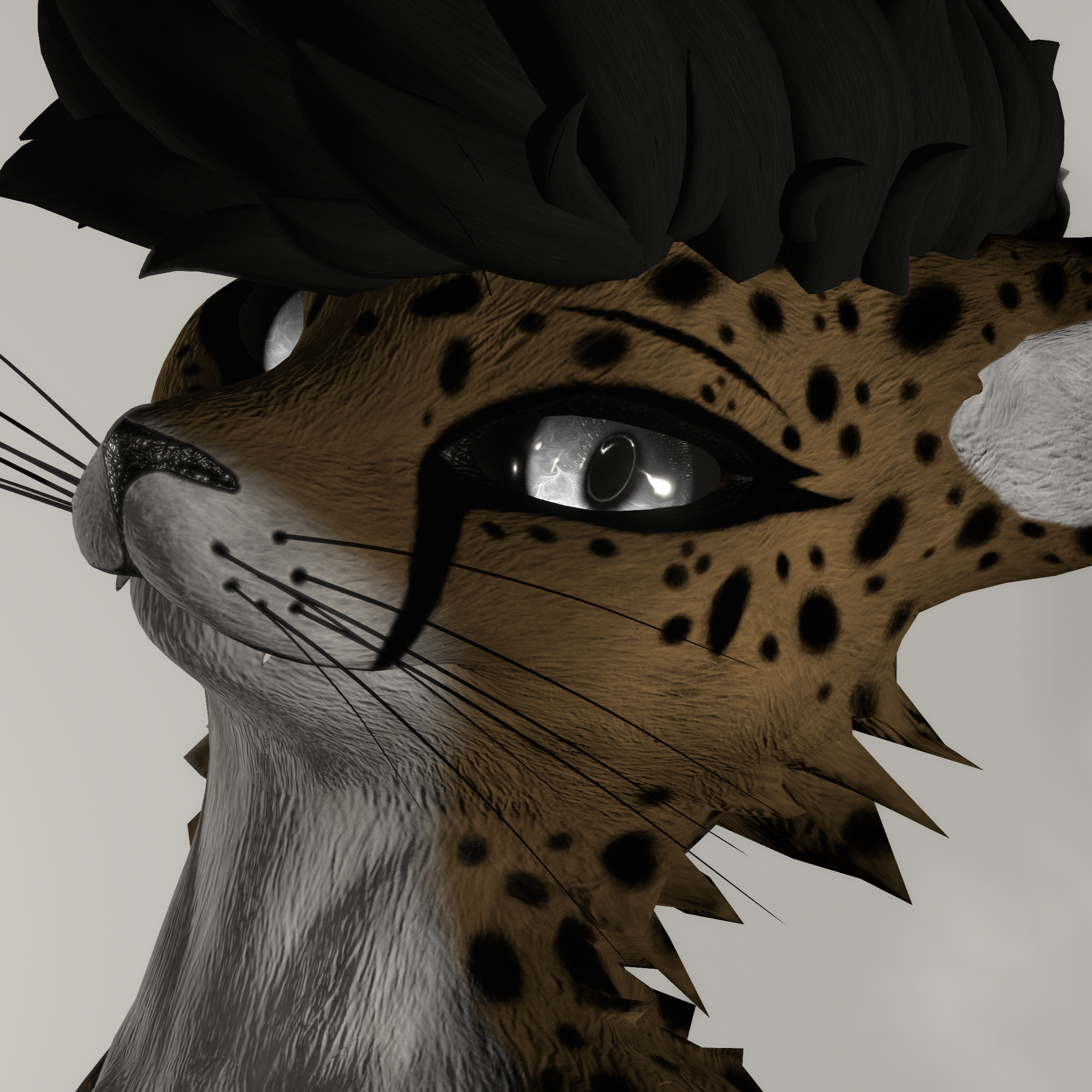 Cheetah - Rexouium Texture