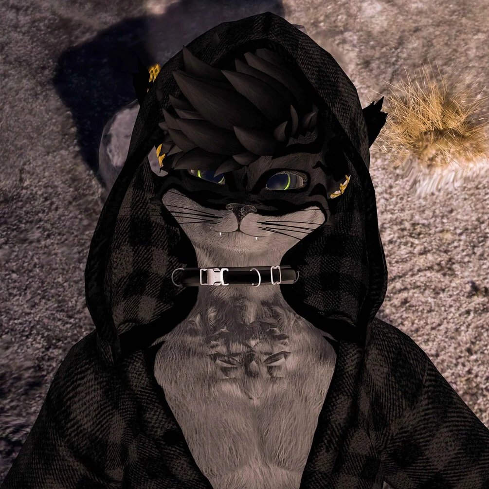 Tiger - Rexouium Textures