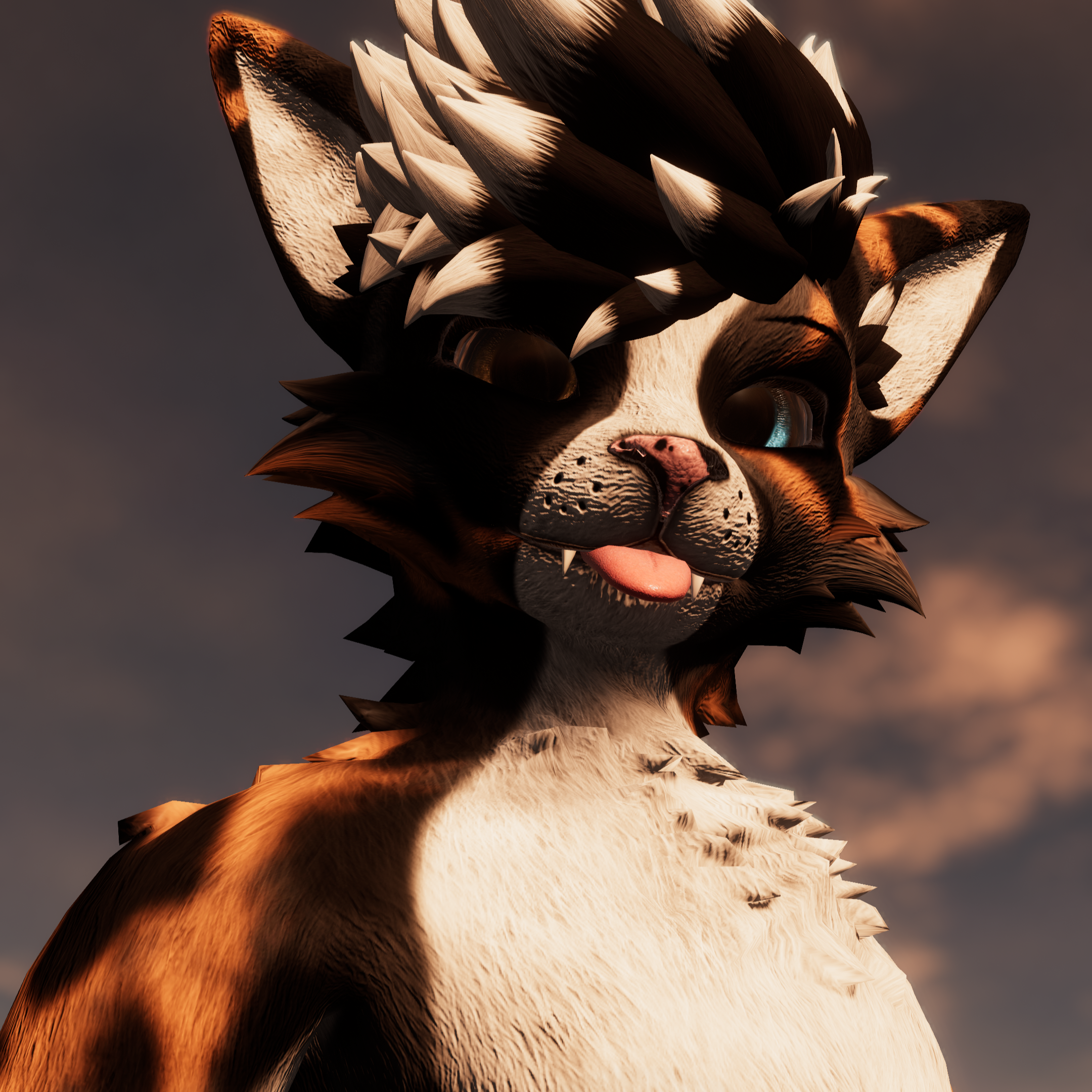 Aussie Shepherd - Rexouium Texture