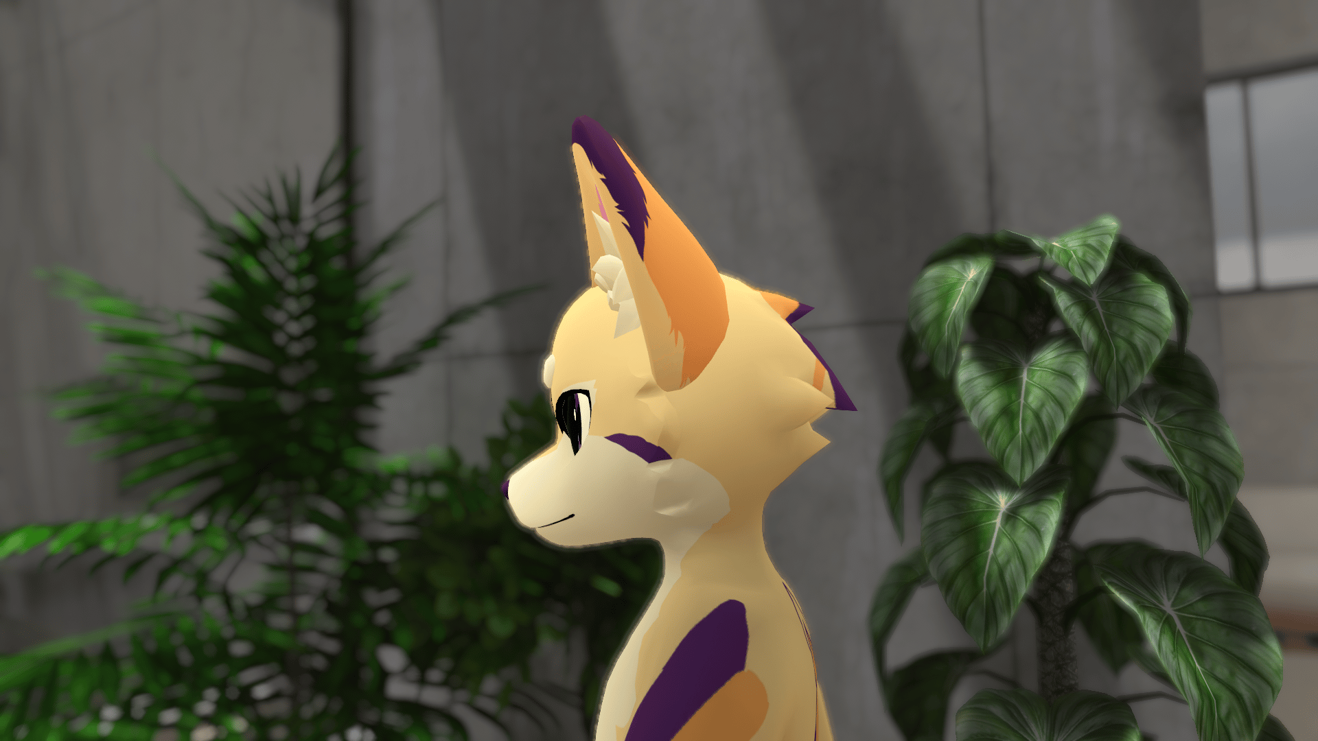 Floppy Ears for the Kinu