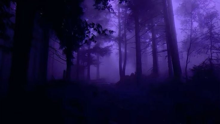 Banner Background