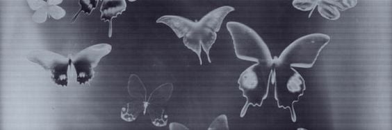 Banner Background