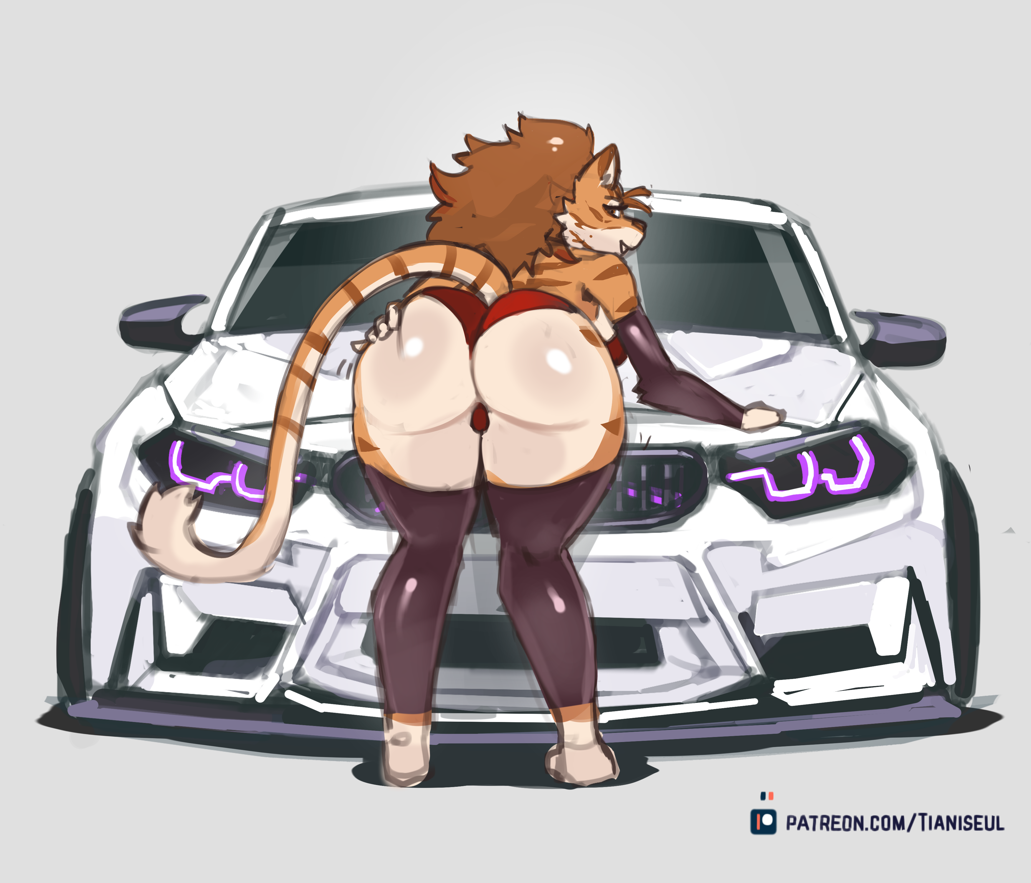Banner Background