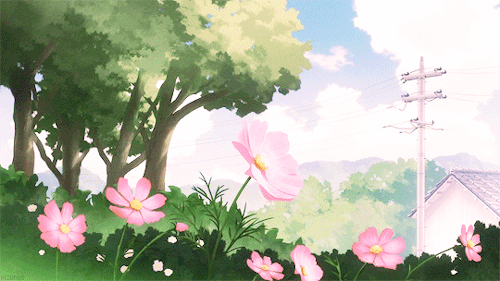 Banner Background