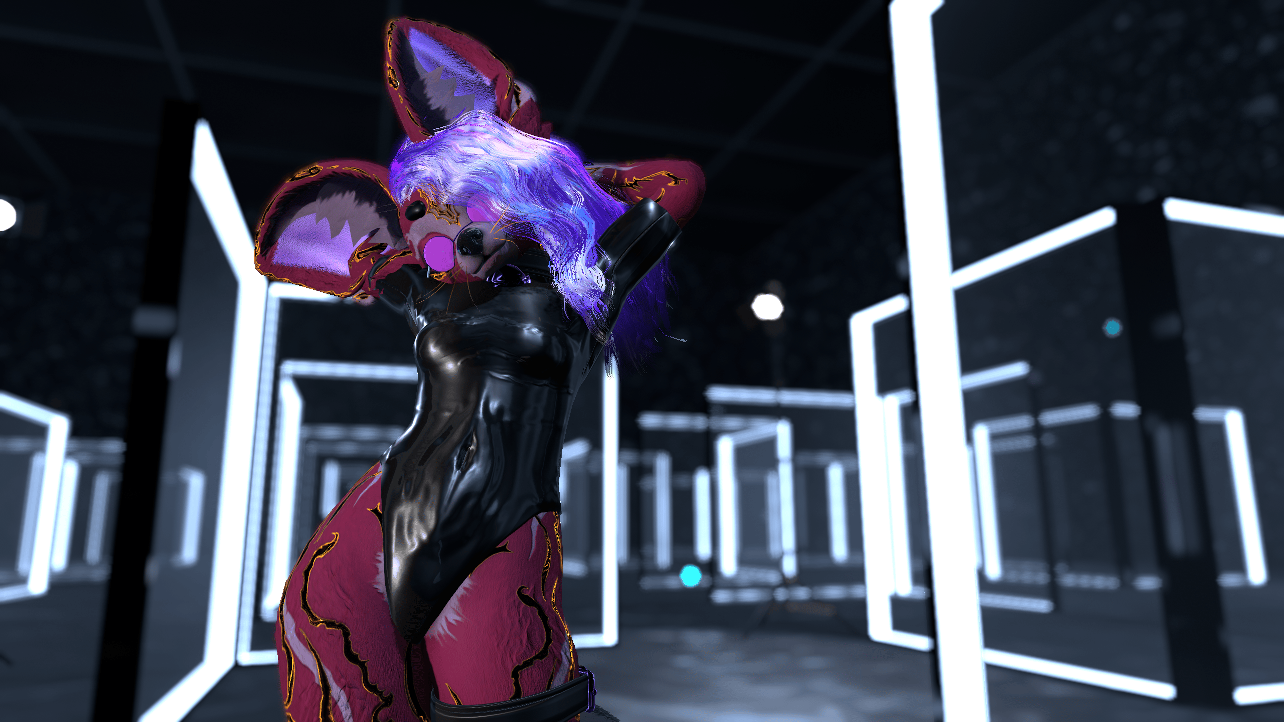 Fennek Shiny Crop + Accessories