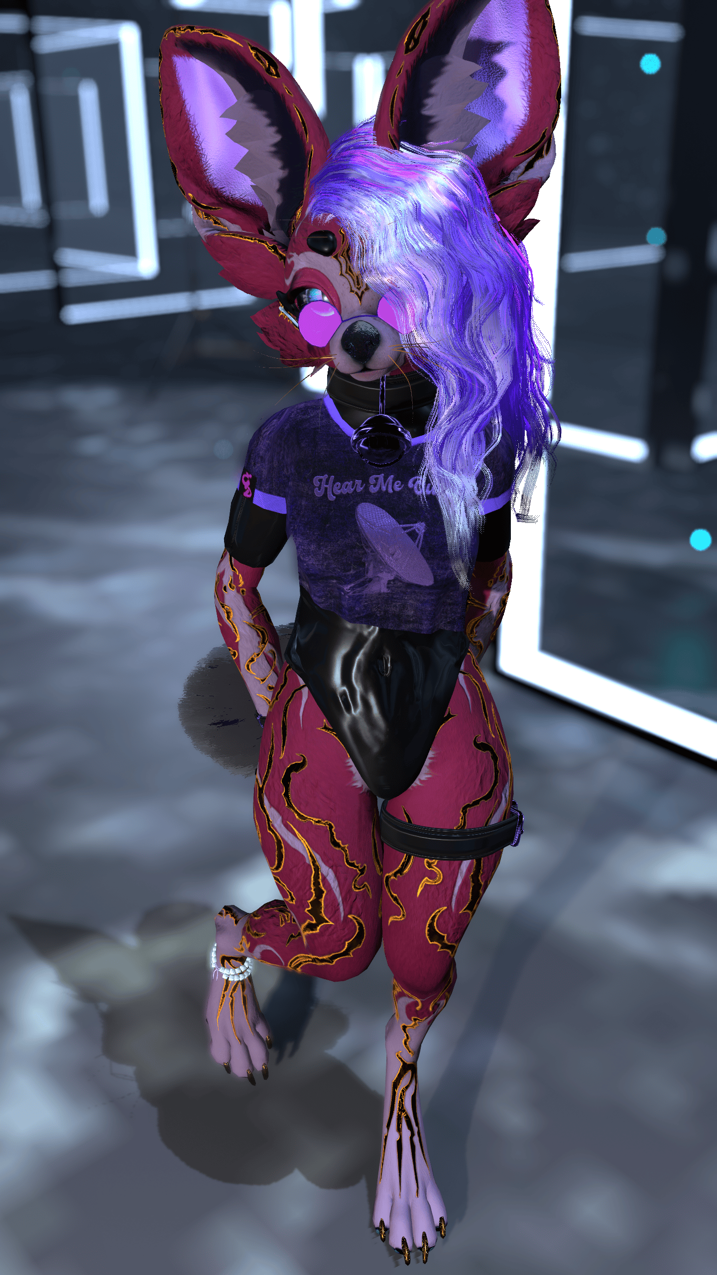 Fennek Shiny Crop + Accessories