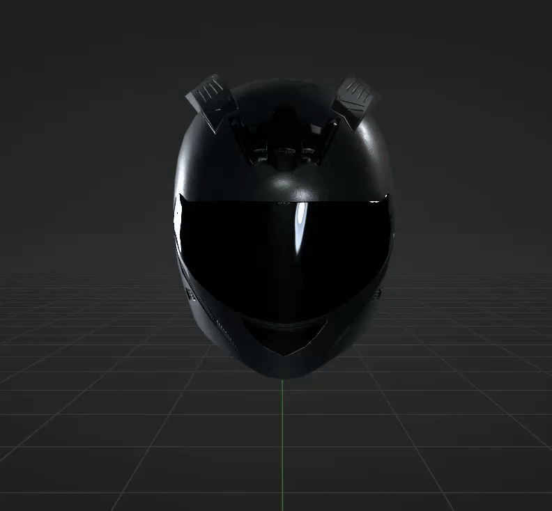 Biker Helmet