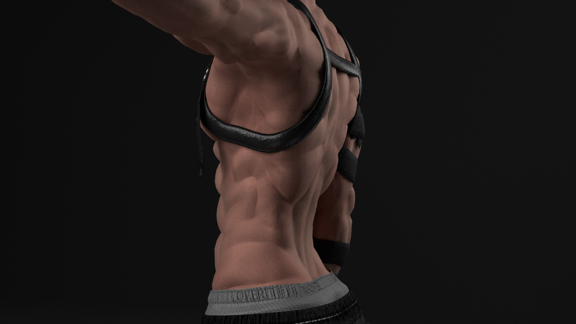 Dual Strapped Harness