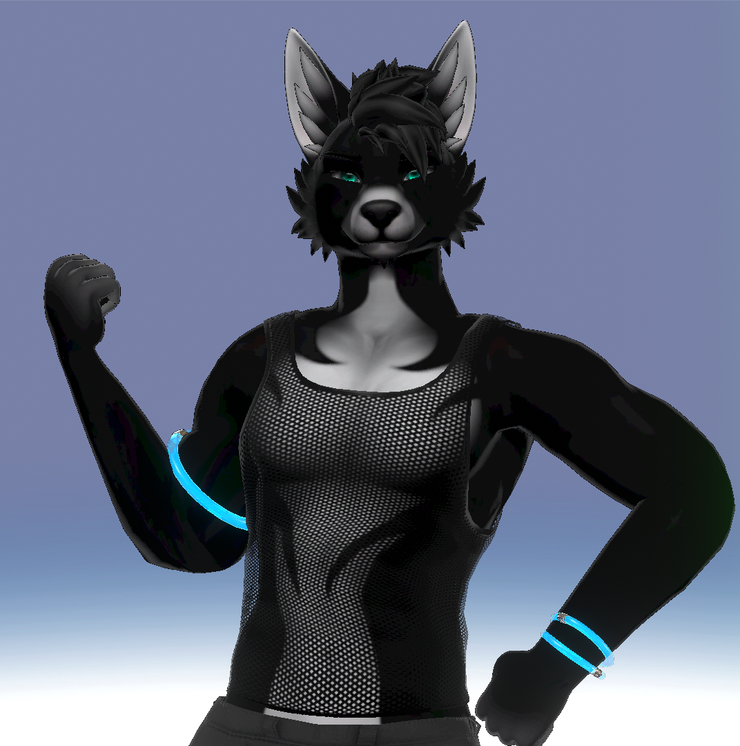 Midnight - Dante Foxipaws