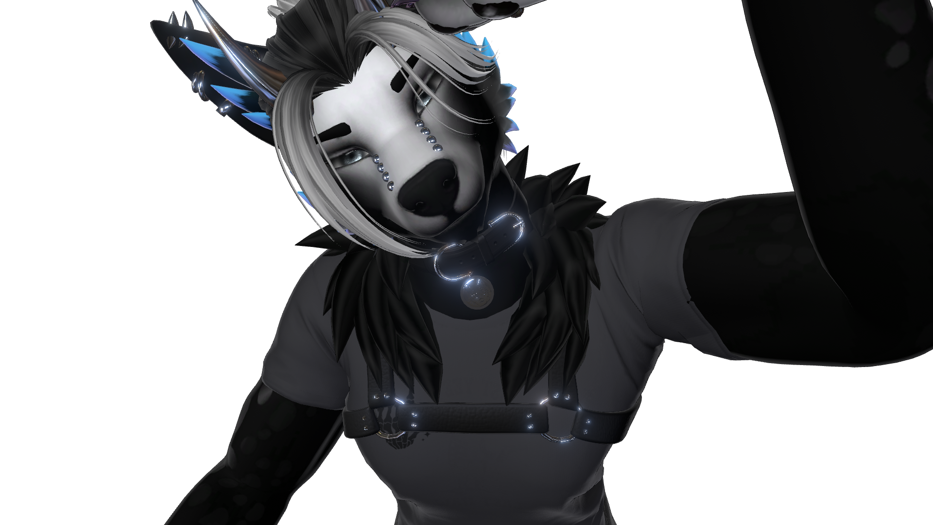 Dante Soot ( Foxipaws )