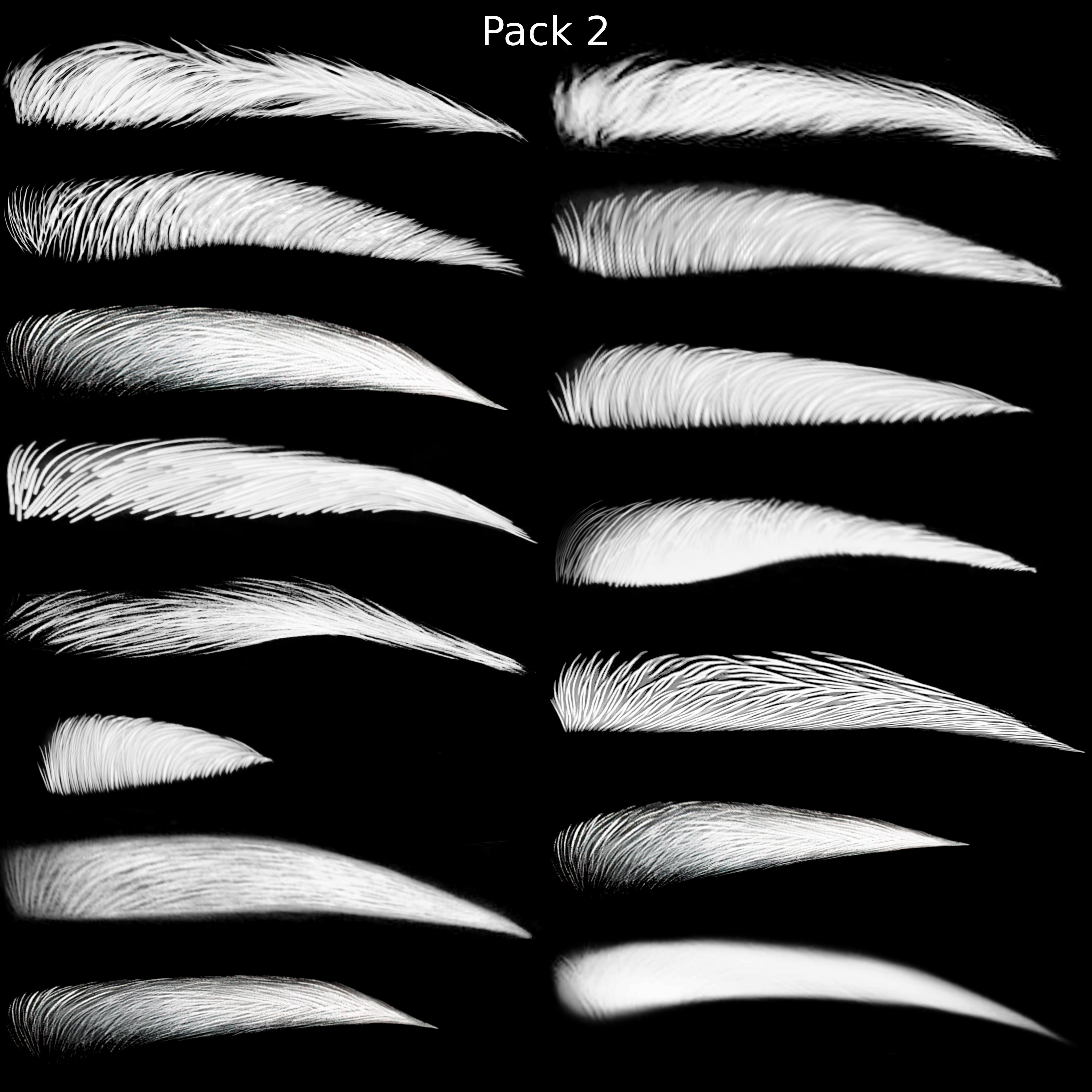 Eyebrow Textures (Amelia Head)