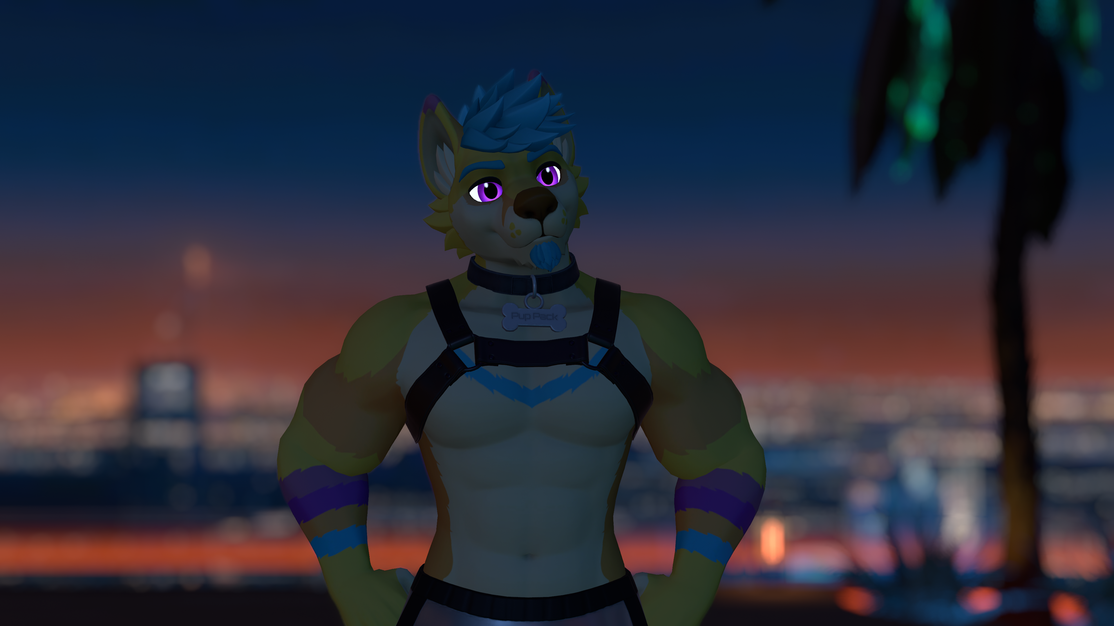 Banner Background
