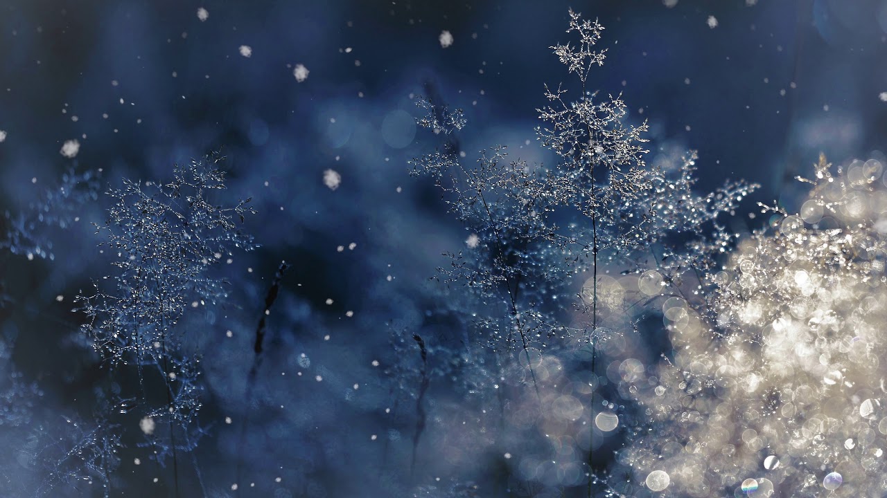 Banner Background