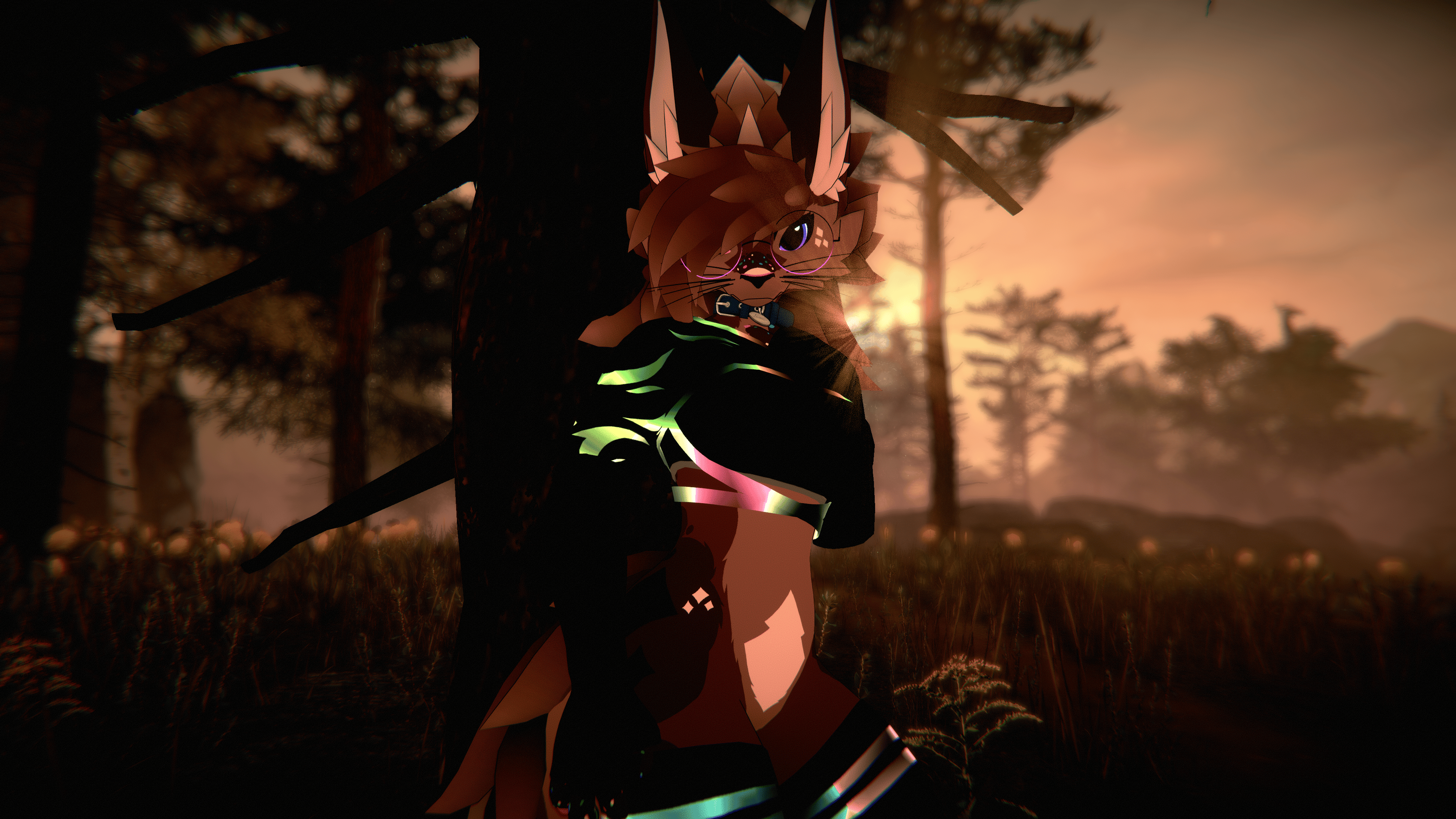 LuxeTop for Novabeast