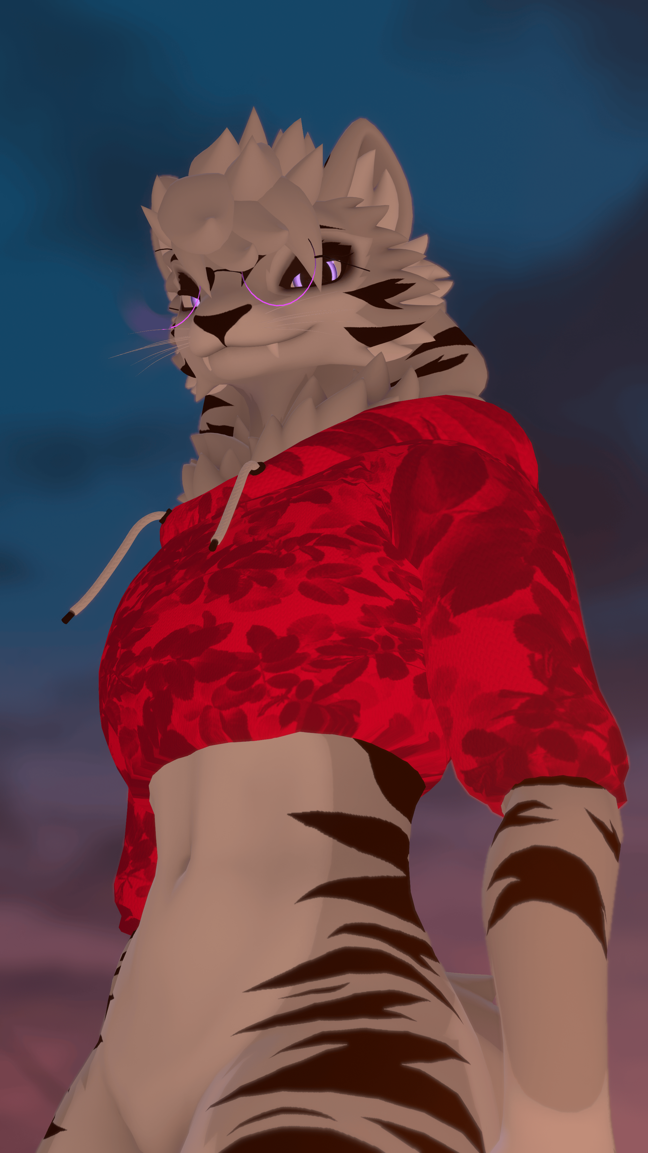Comfy Hoodie for Northern Aspil