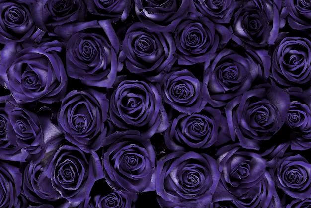 Banner Background