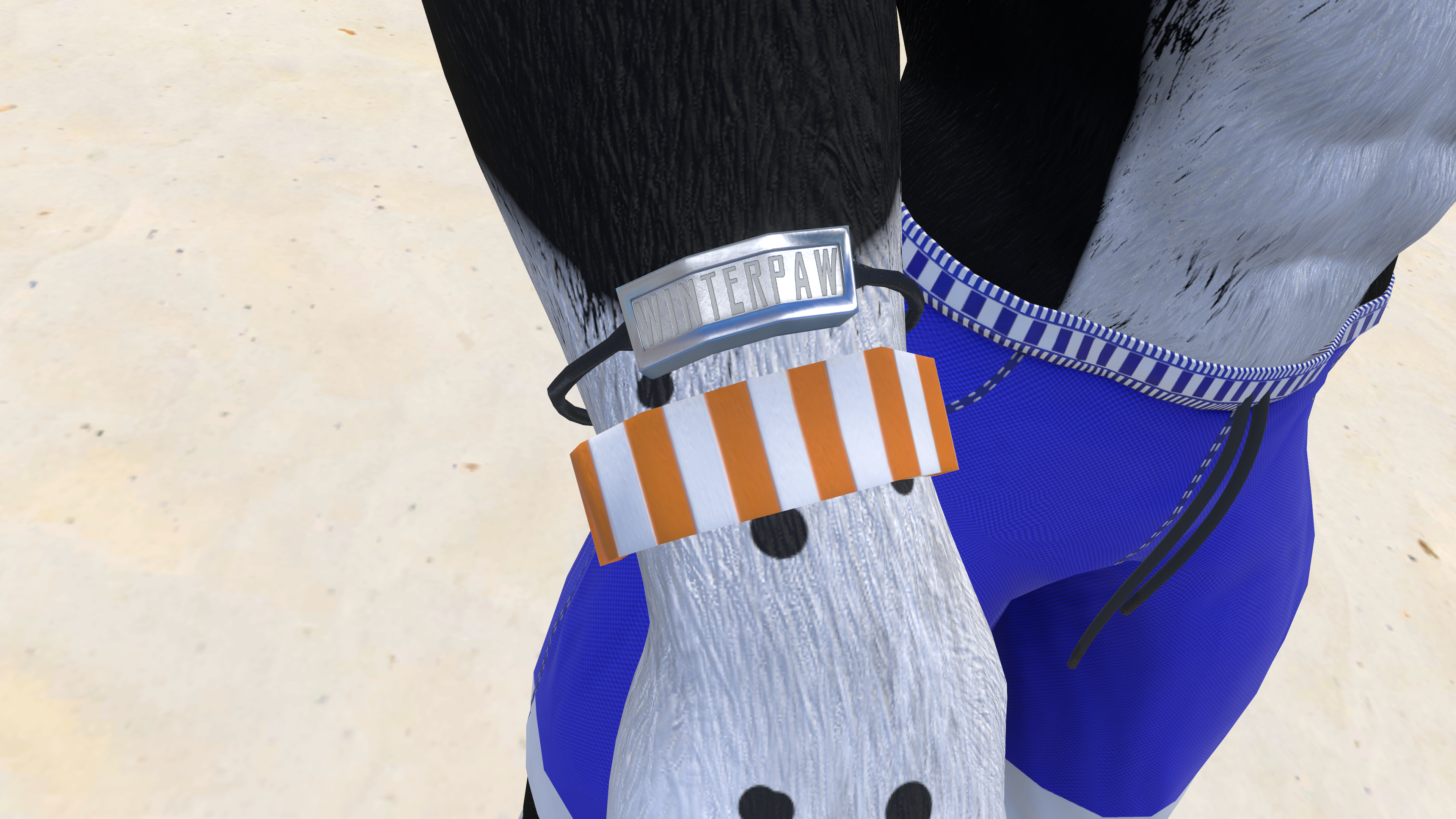 Male Winterpaw Canine - Summer Fun Outfit