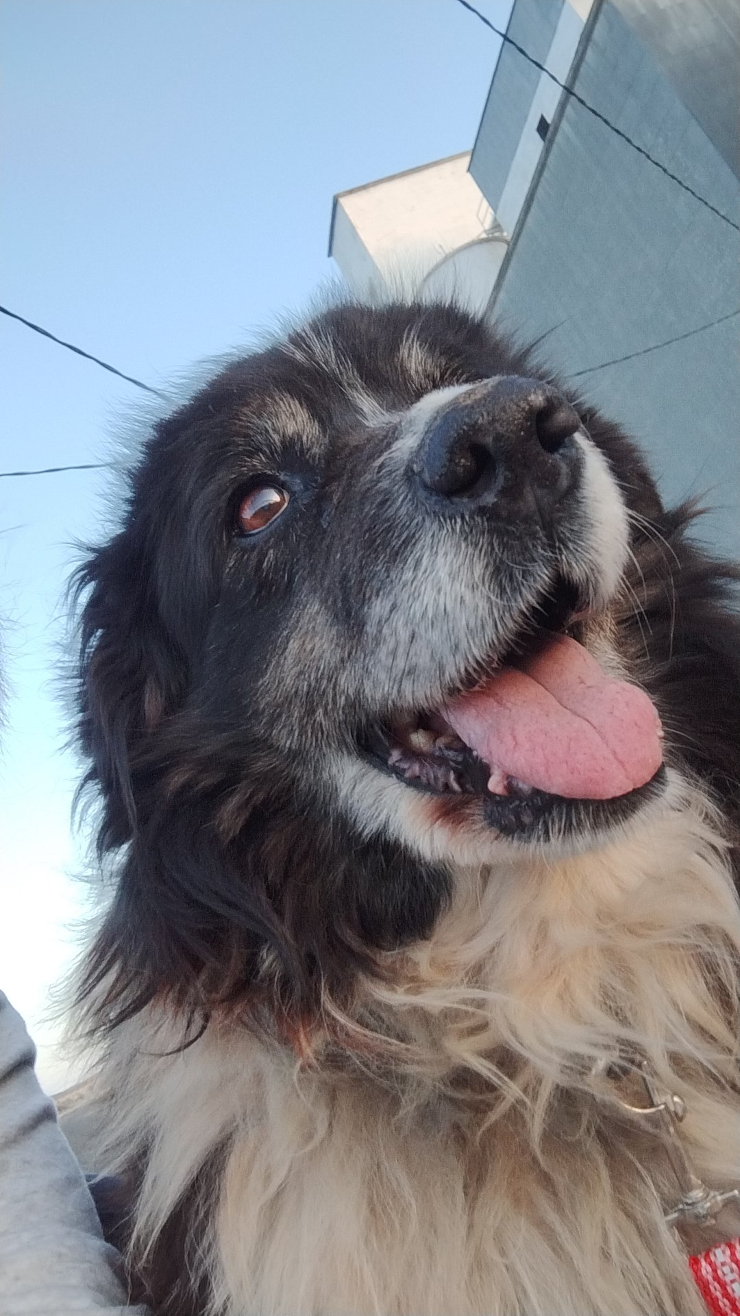 Banner Background