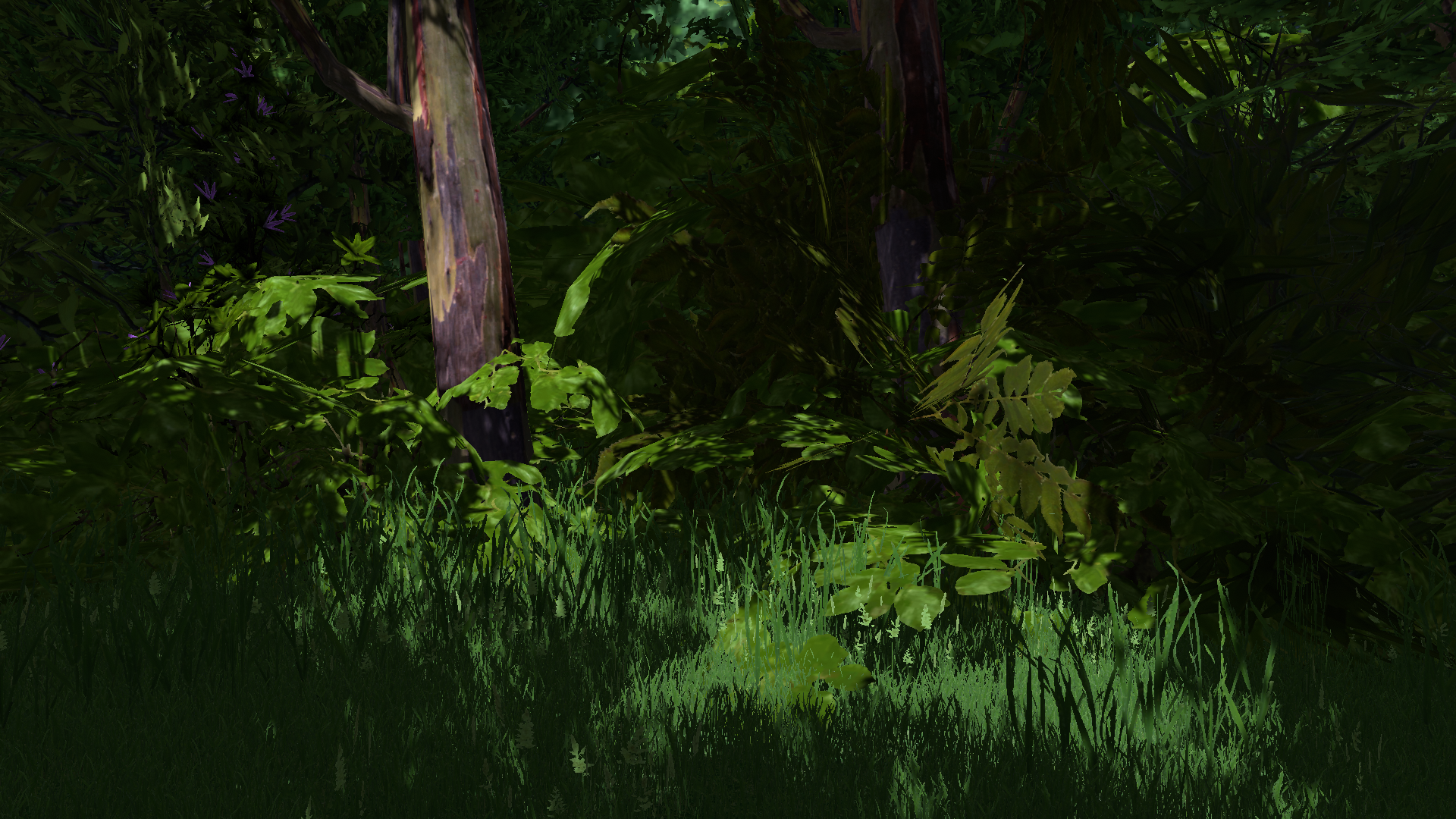 Banner Background