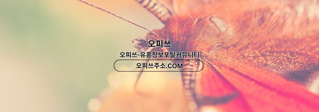 Banner-Hintergrund