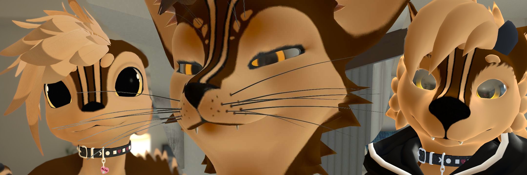 Banner Background