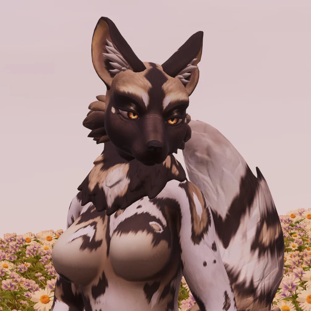 African Wild Dog - Textures for the Kuda Canine