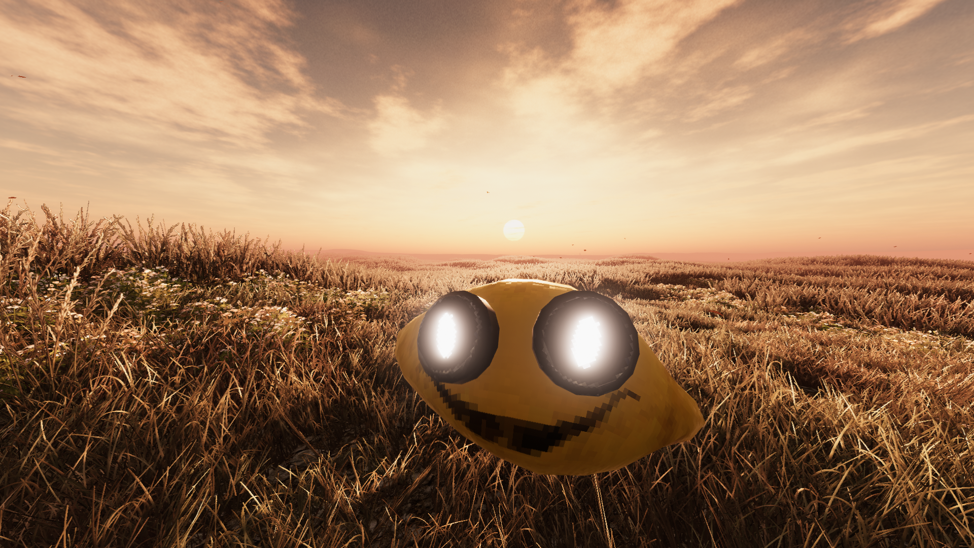 Banner Background