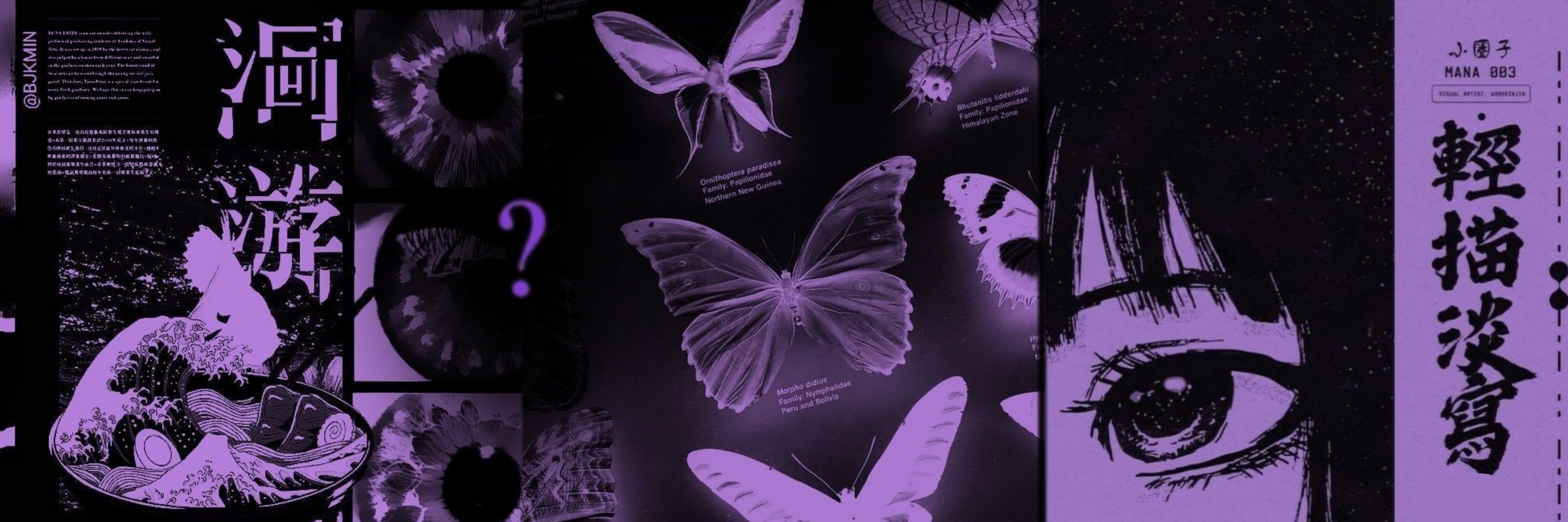 Banner Background