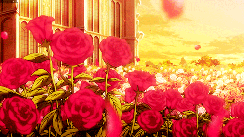 Banner Background